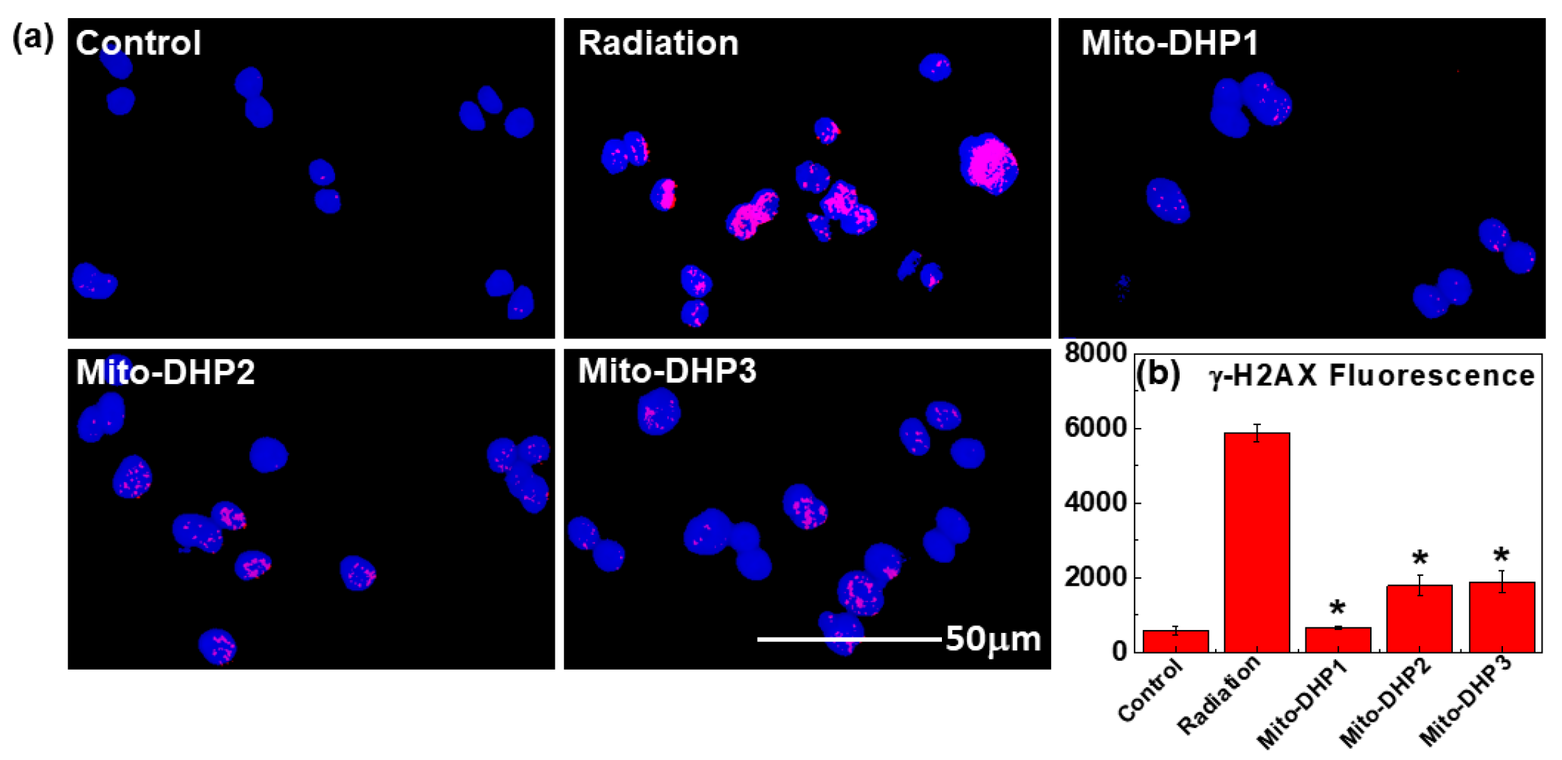 Ijms 18 02233 g003 550
