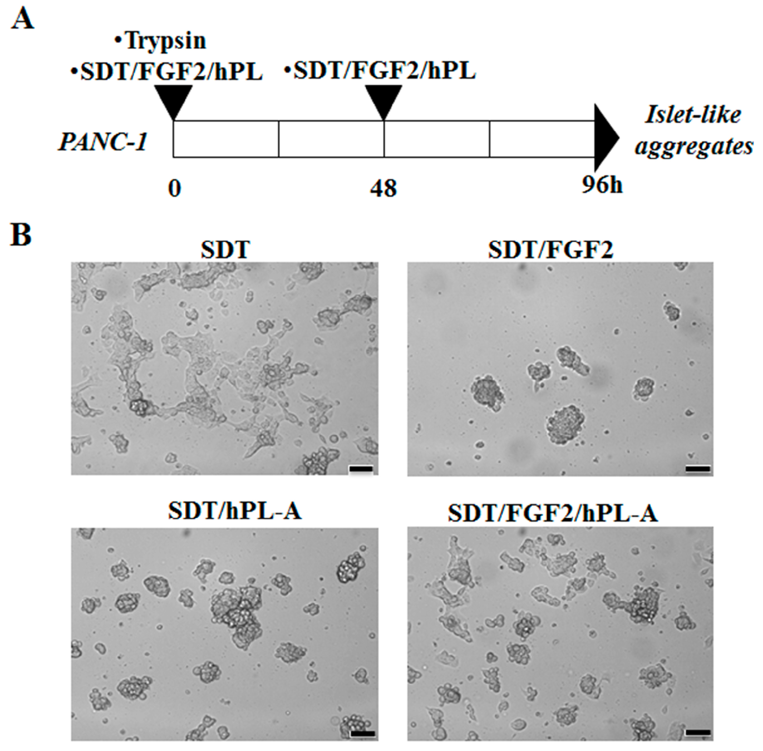 Ijms 18 02234 g001 Ijms 18 02234 g001