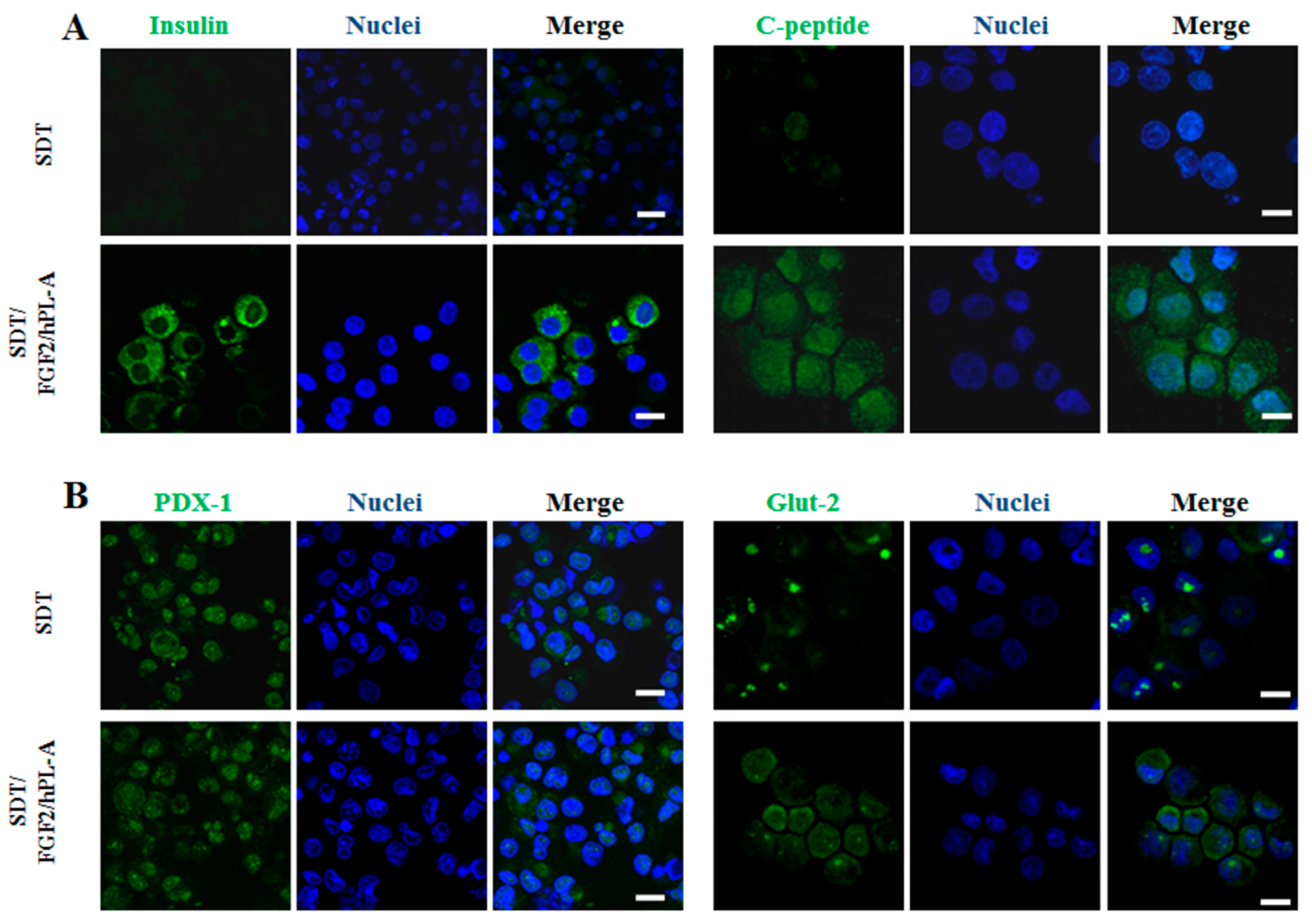 Ijms 18 02234 g002 Ijms 18 02234 g002