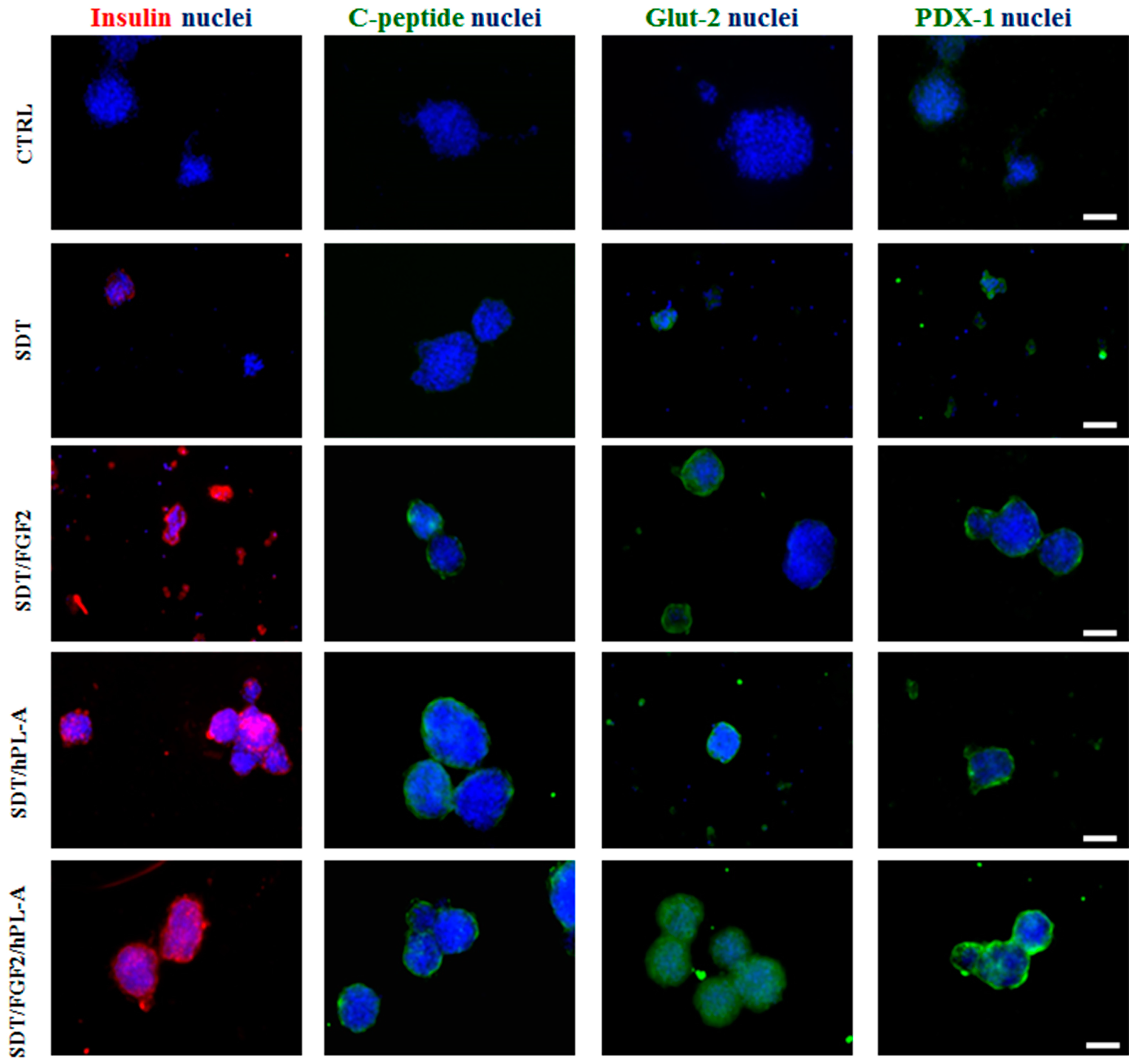 Ijms 18 02234 g004 Ijms 18 02234 g004