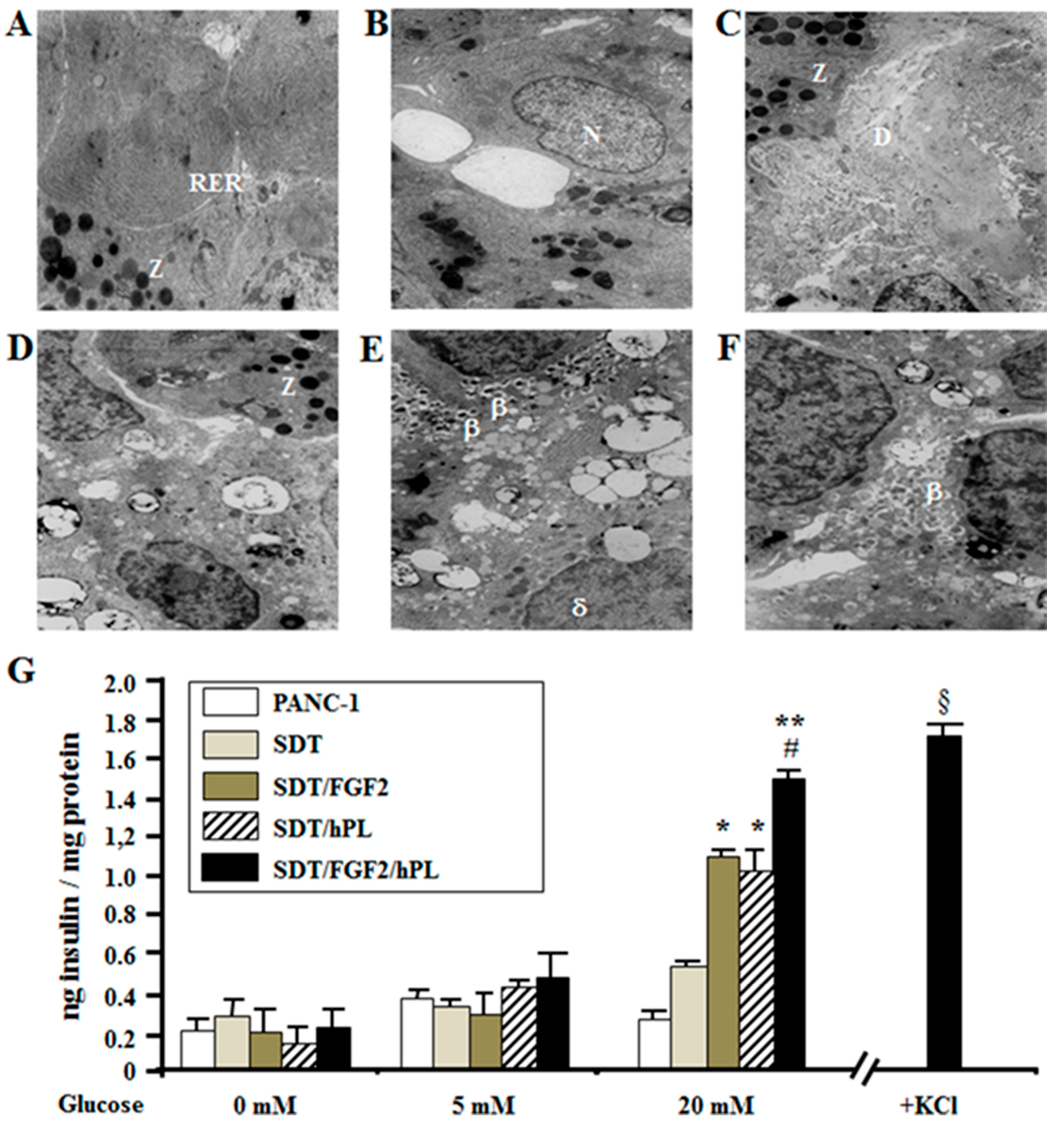 Ijms 18 02234 g007 Ijms 18 02234 g007