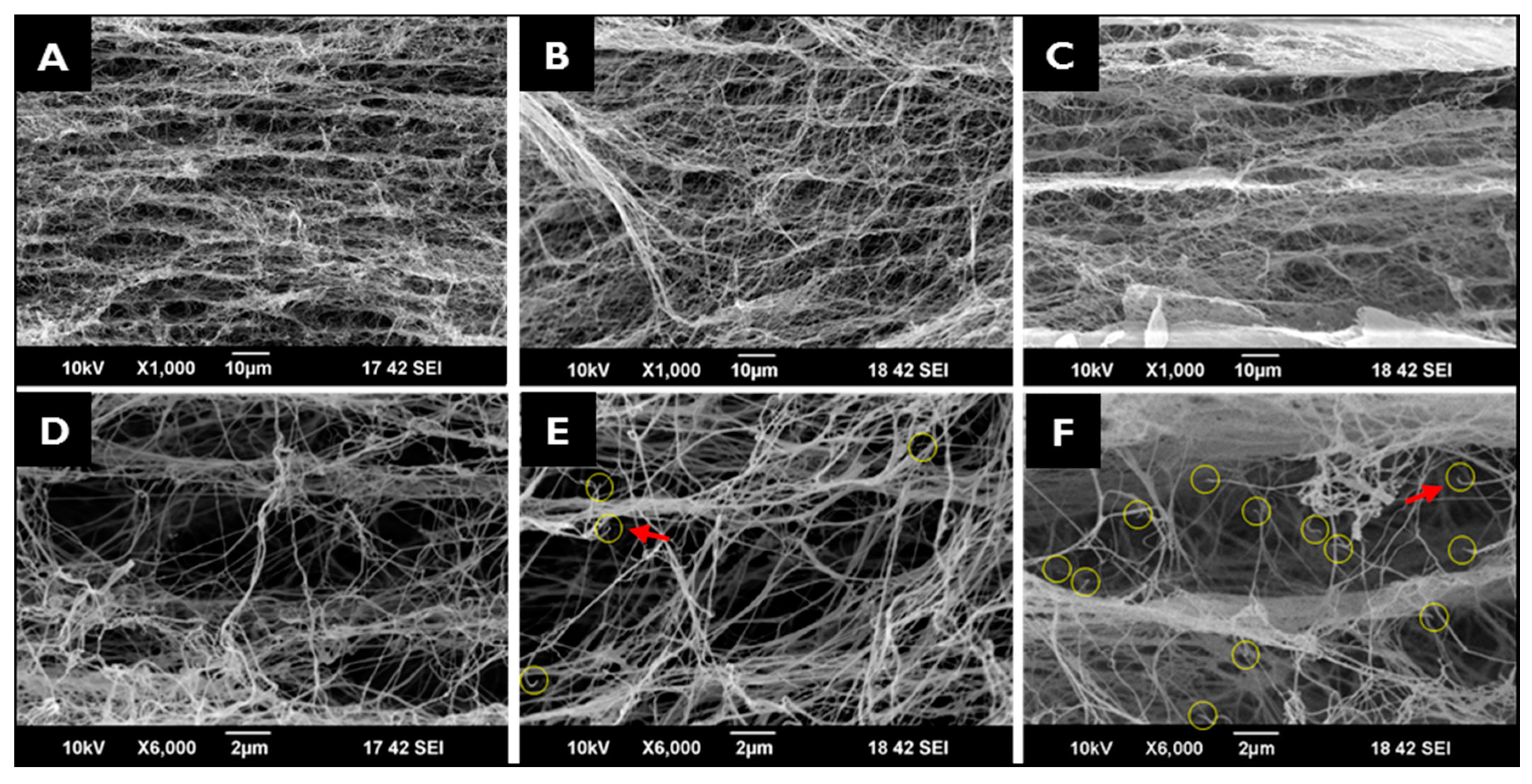 Ijms 18 02236 g001 Ijms 18 02236 g001