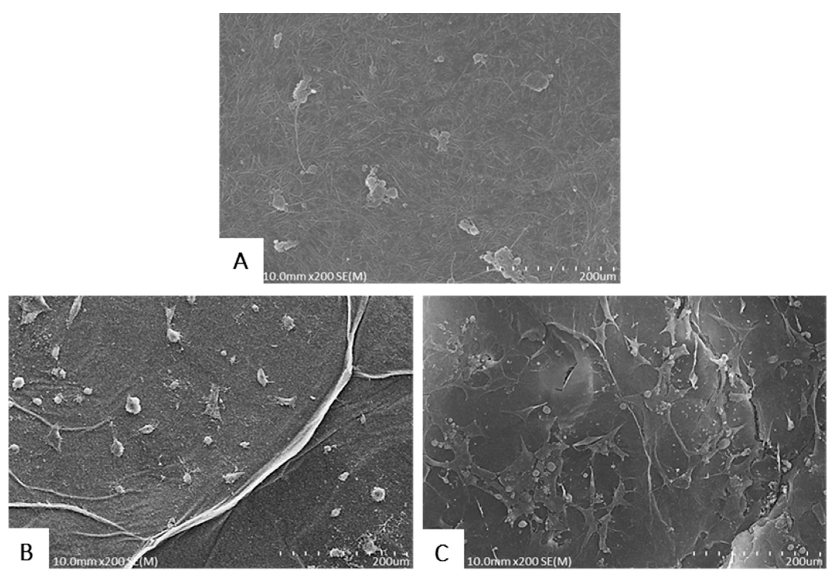 Ijms 18 02236 g008 Ijms 18 02236 g008