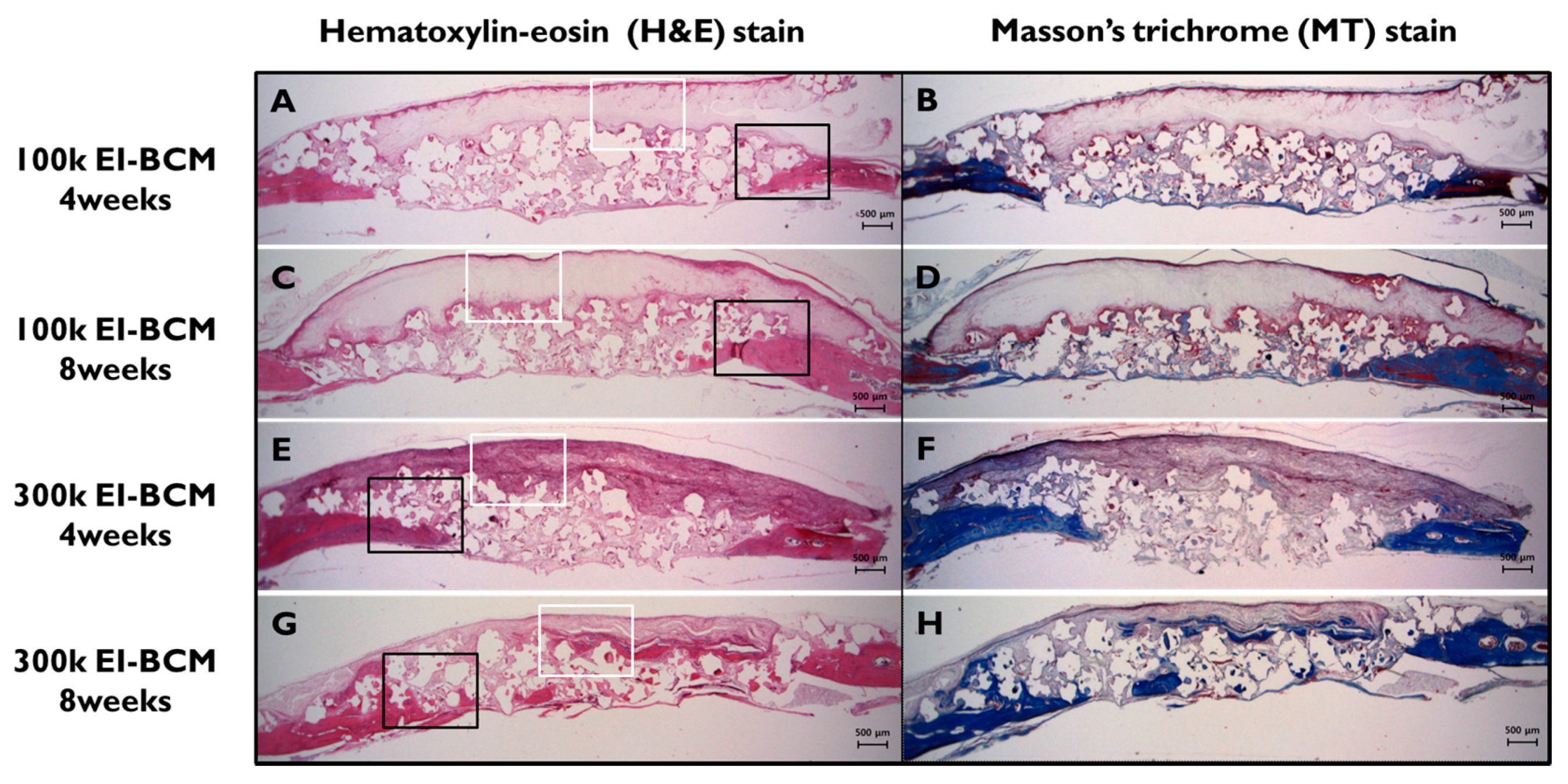 Ijms 18 02236 g009 Ijms 18 02236 g009