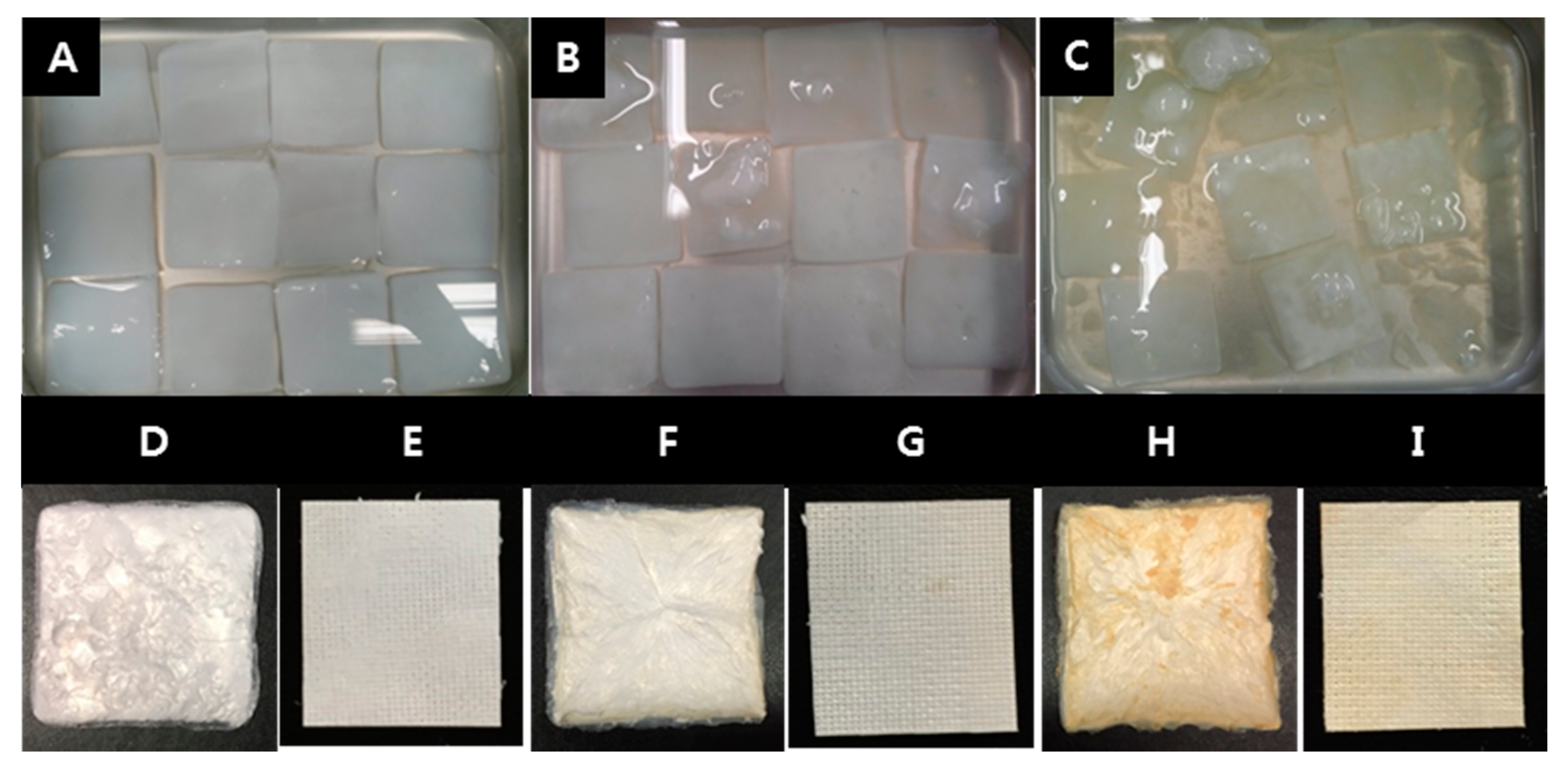 Ijms 18 02236 g014 Ijms 18 02236 g014