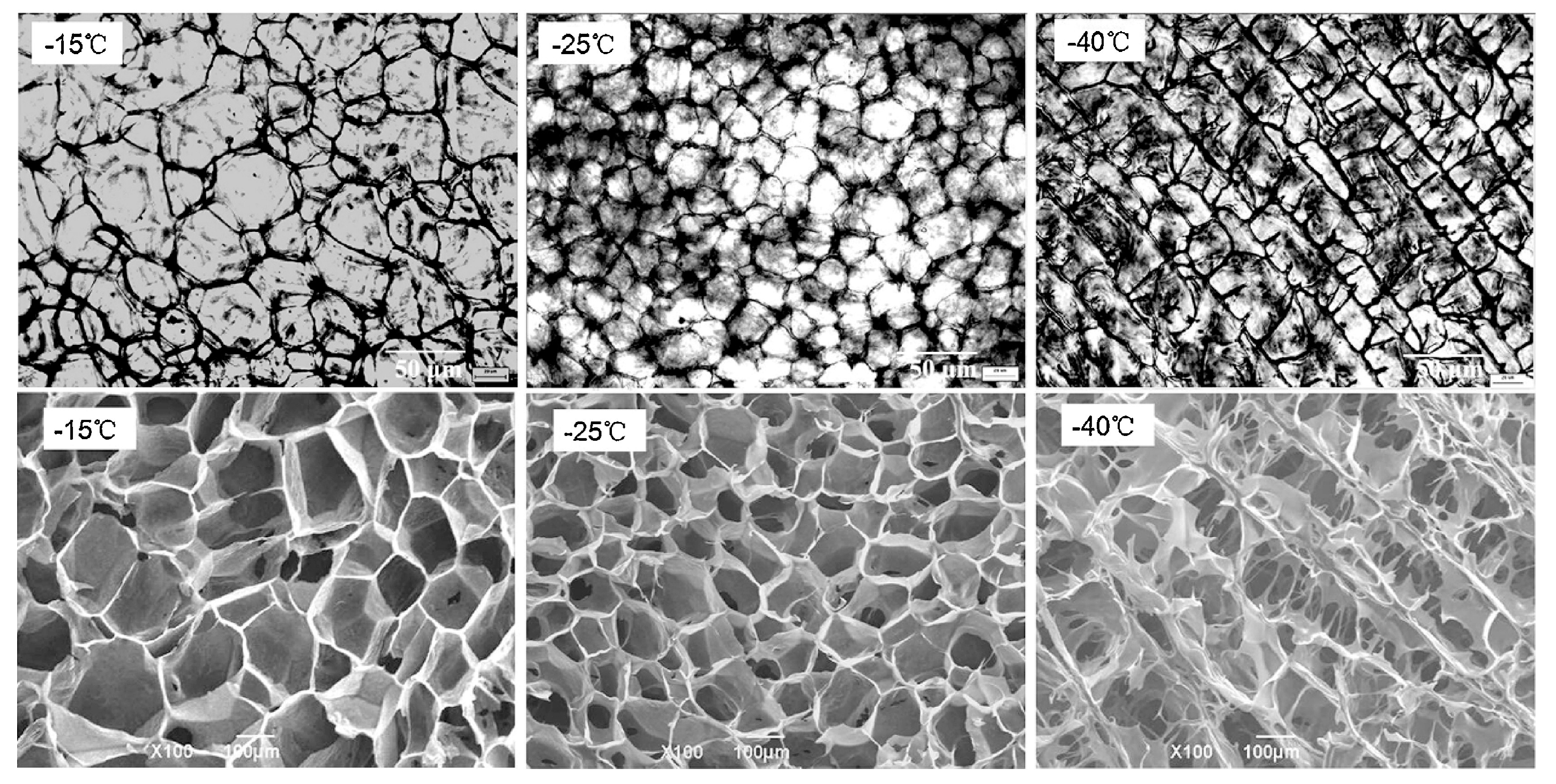 Ijms 18 02250 g001 Ijms 18 02250 g001