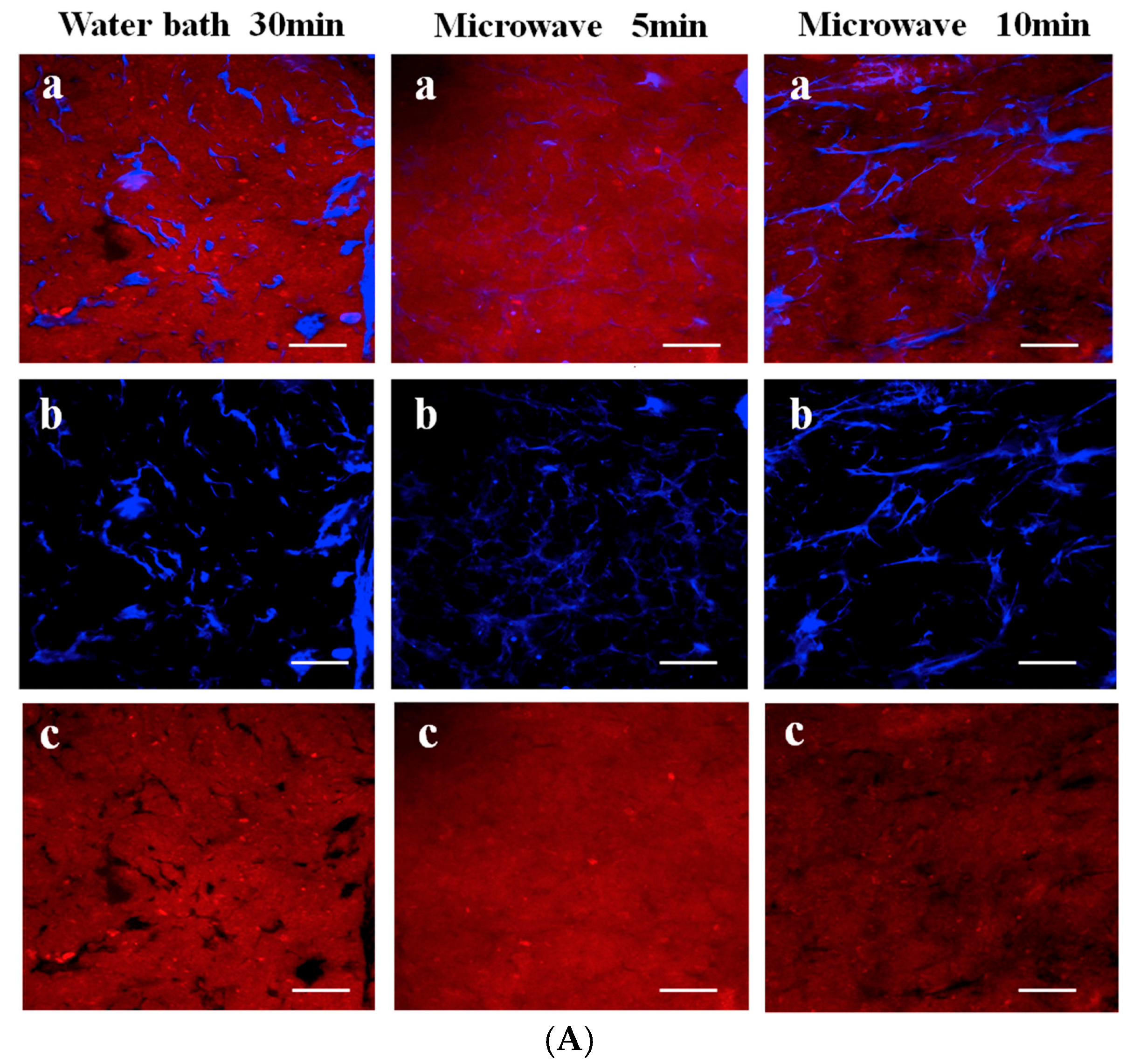 Ijms 18 02250 g002a Ijms 18 02250 g002a
