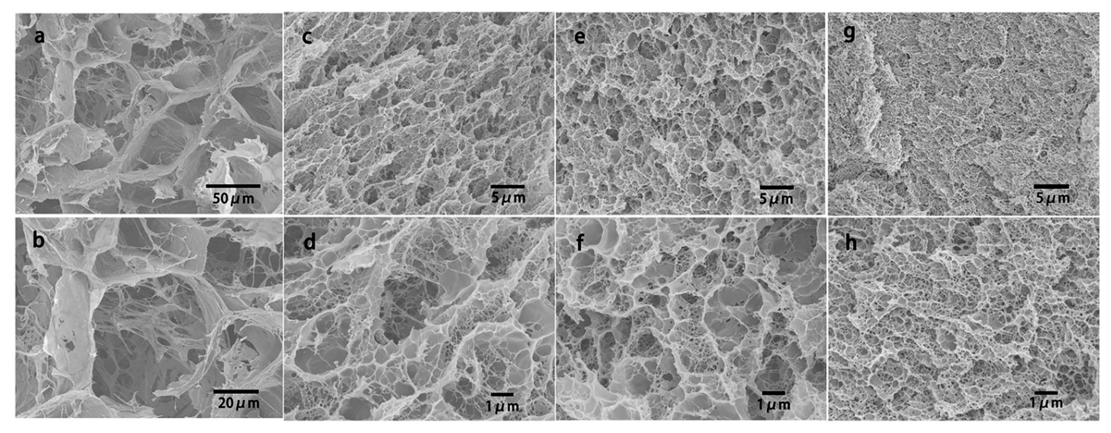 Ijms 18 02250 g005 Ijms 18 02250 g005