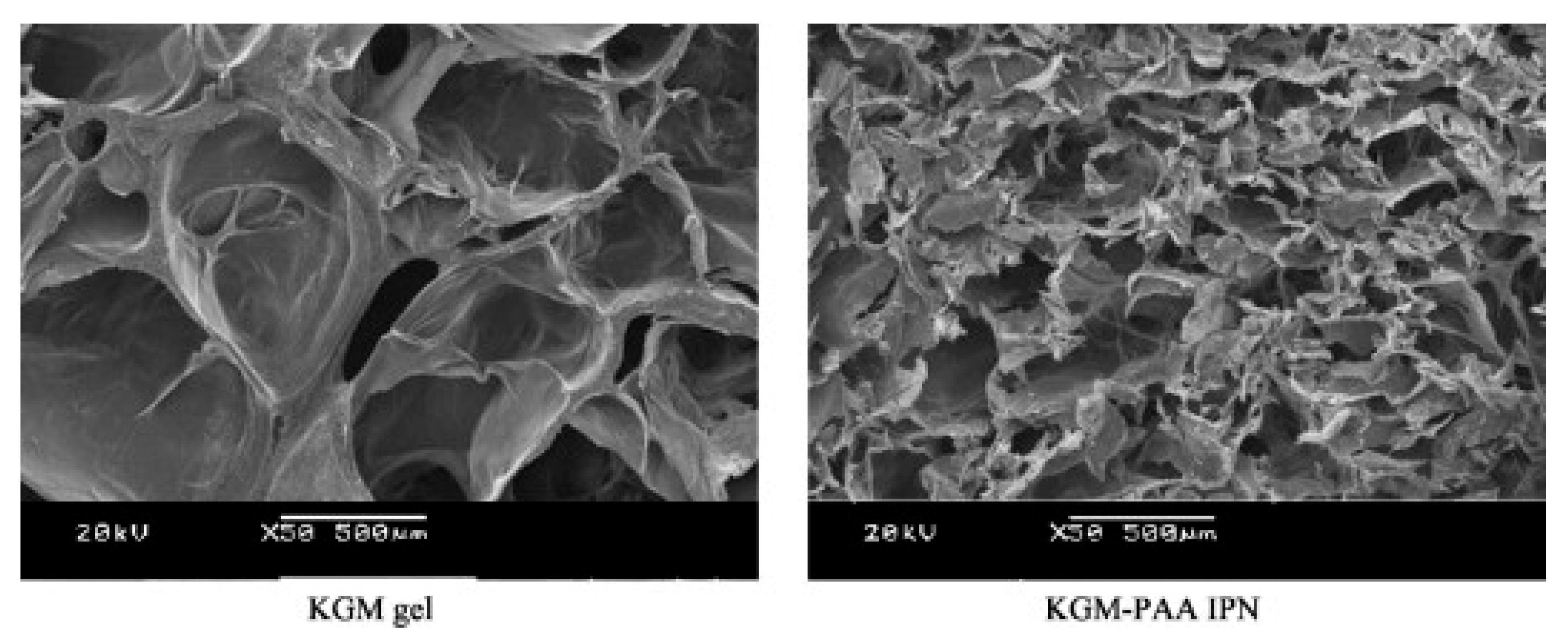 Ijms 18 02250 g007 Ijms 18 02250 g007