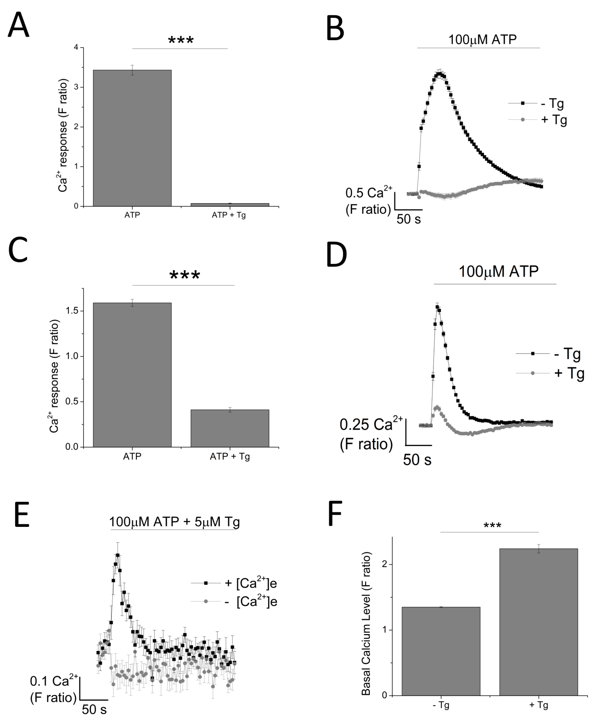 Ijms 18 02261 g003 Ijms 18 02261 g003