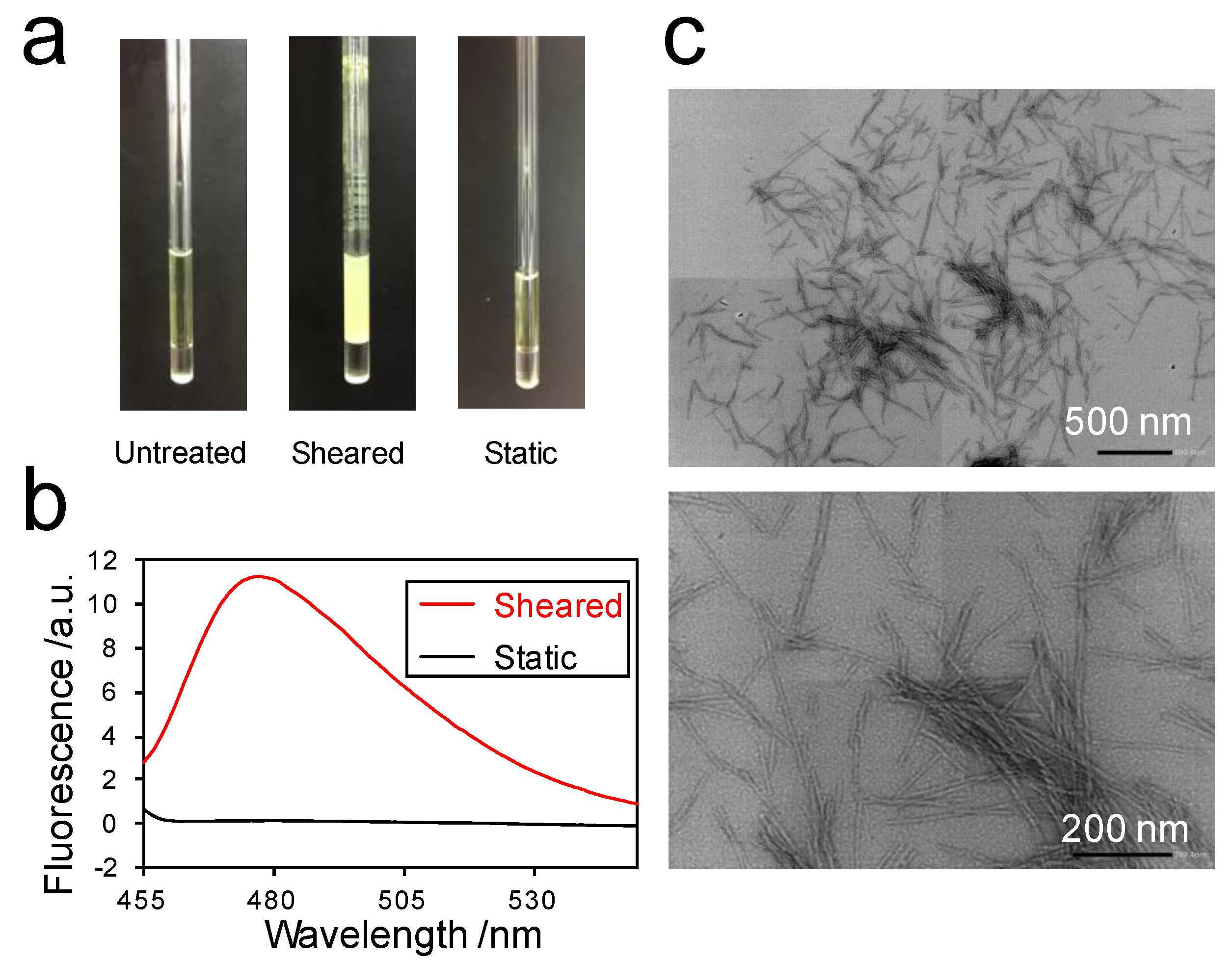 Ijms 18 02271 g001 Ijms 18 02271 g001
