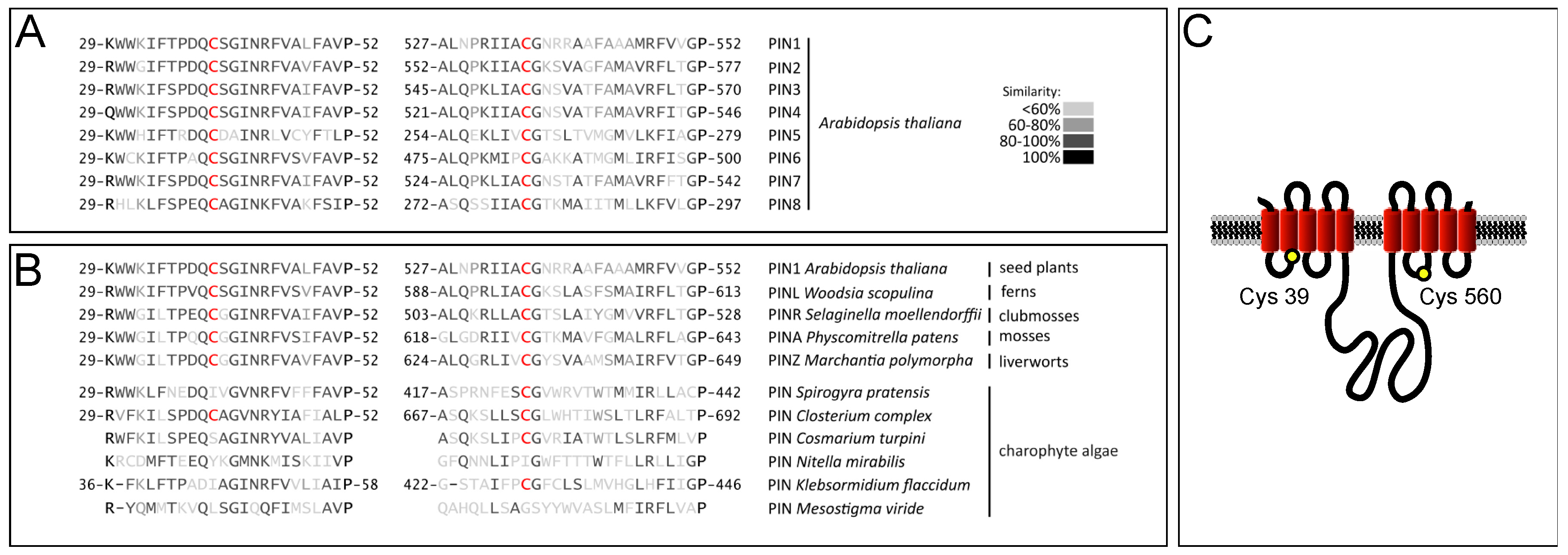 Ijms 18 02274 g001 Ijms 18 02274 g001