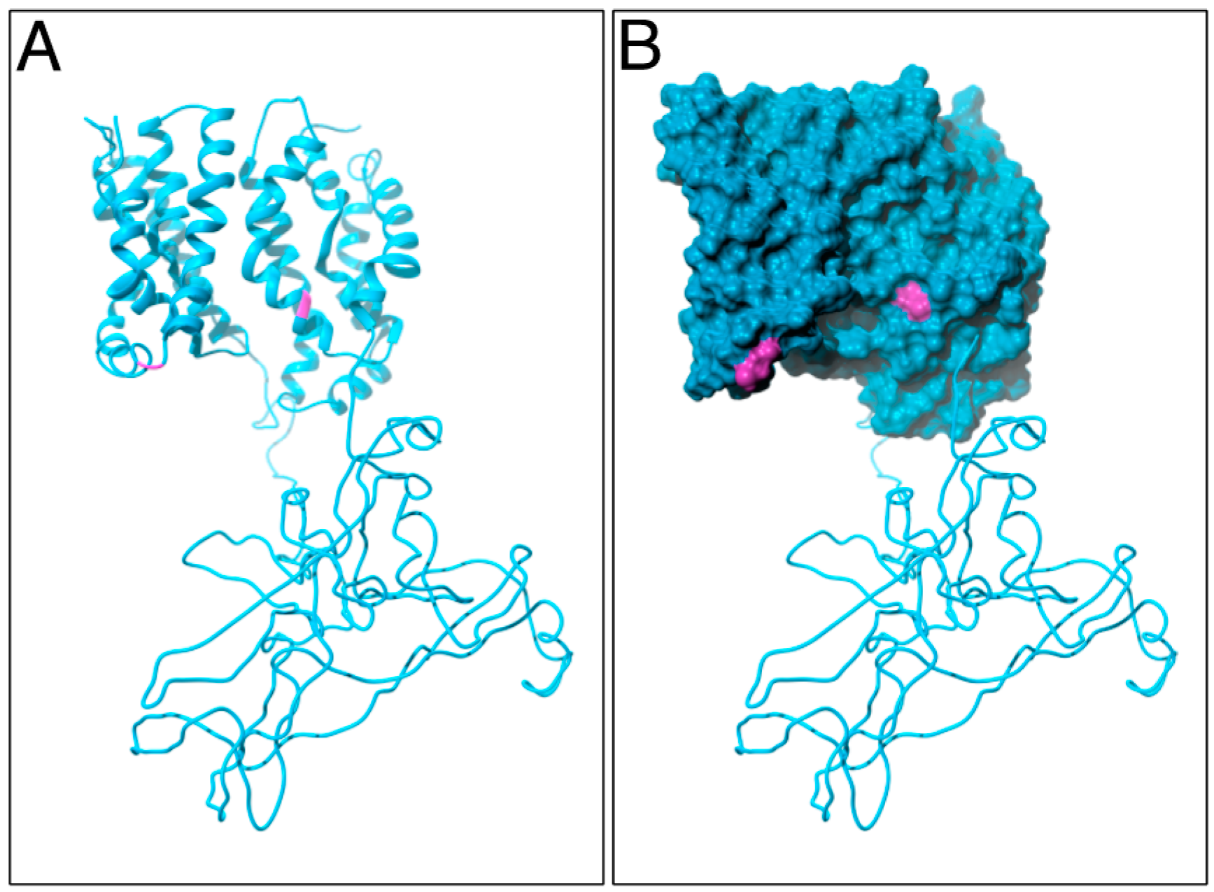 Ijms 18 02274 g004 Ijms 18 02274 g004