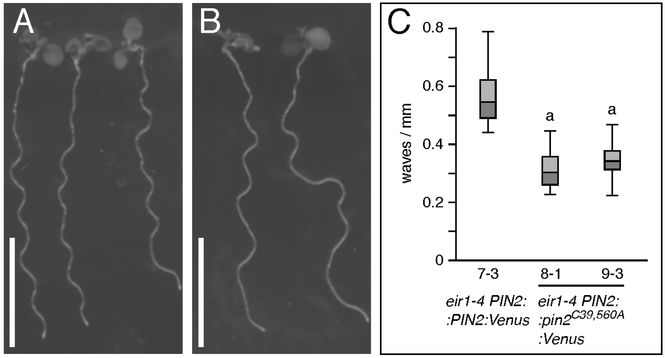 Ijms 18 02274 g006 Ijms 18 02274 g006