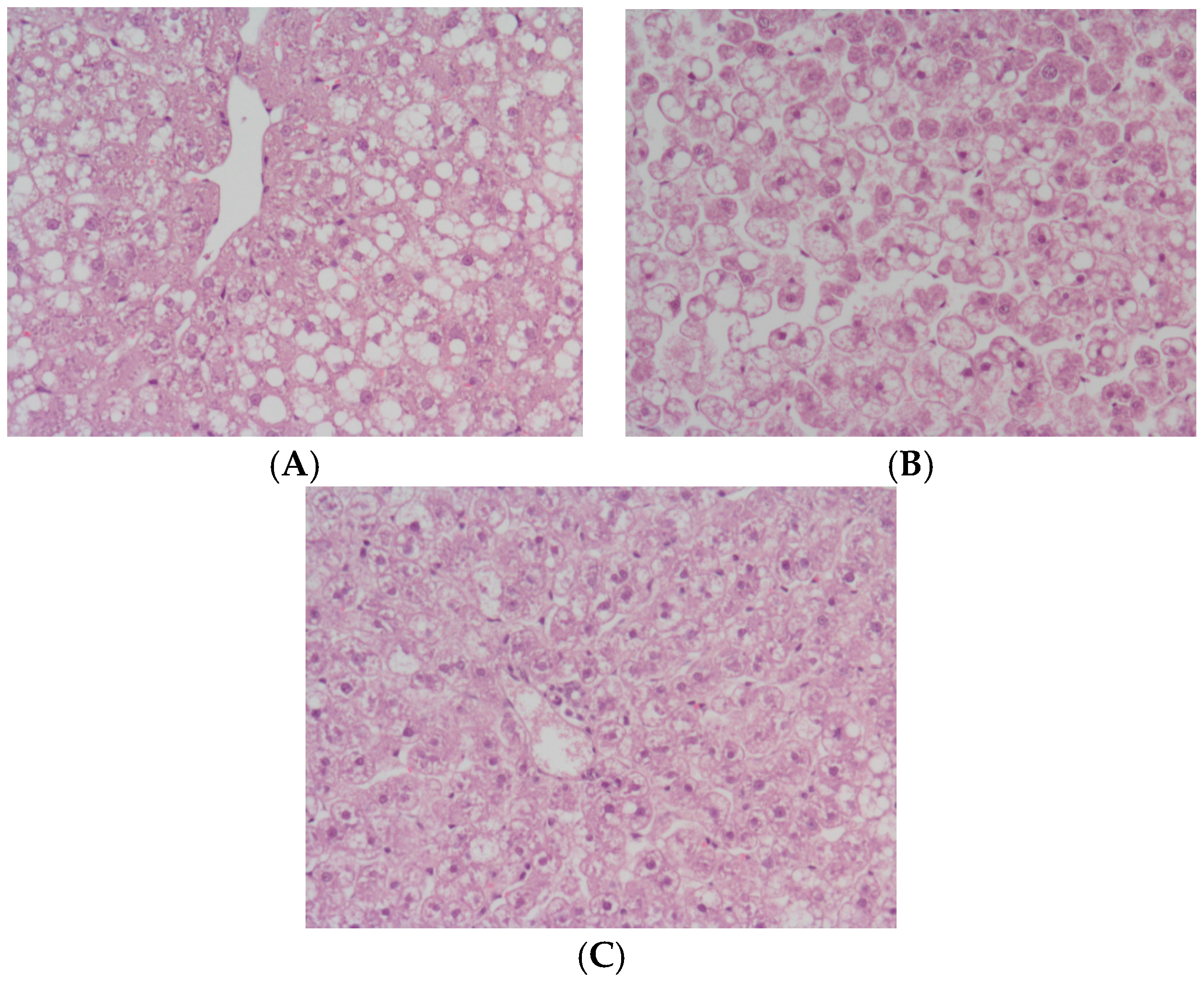 Ijms 18 02287 g002 Ijms 18 02287 g002