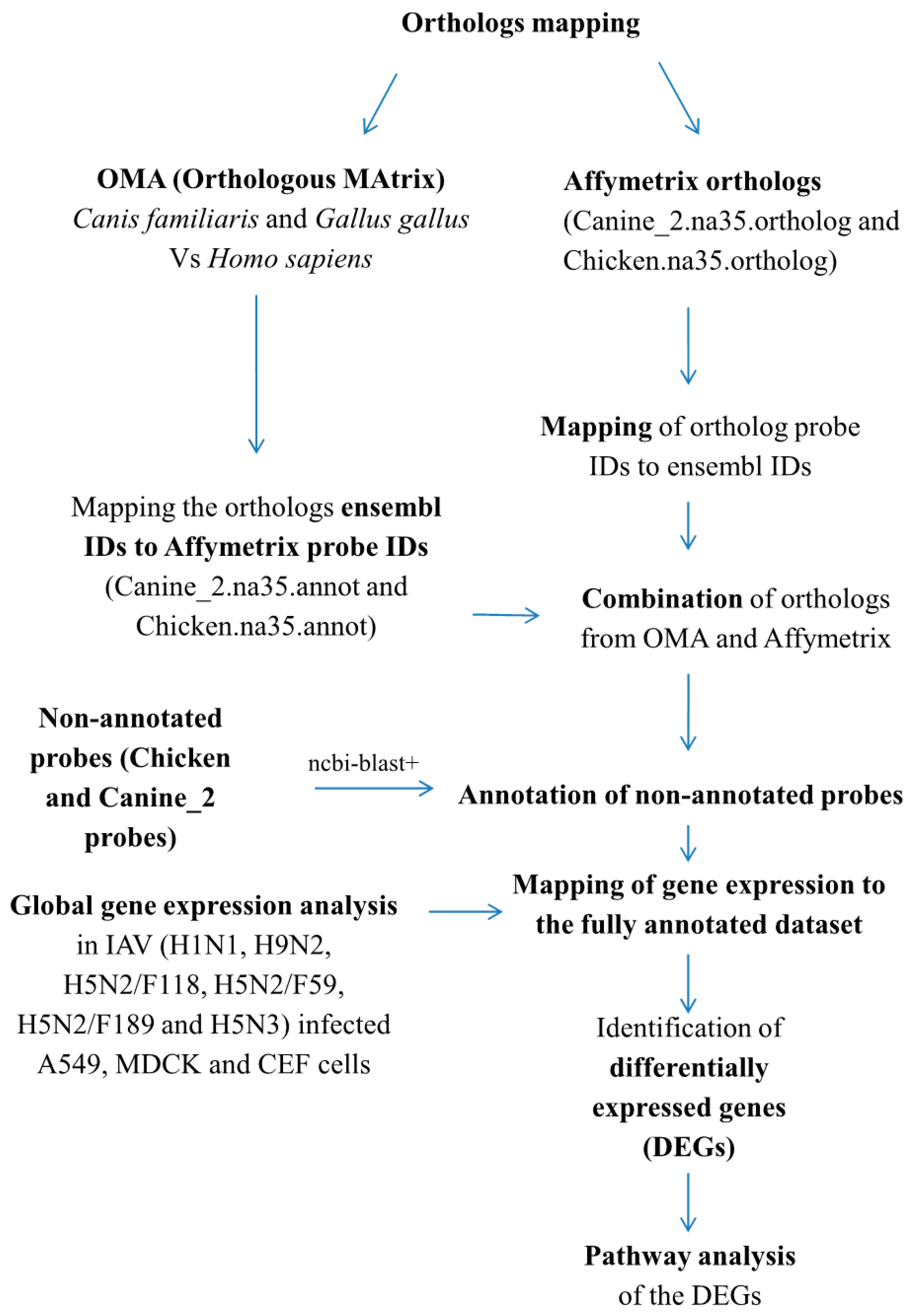 Ijms 18 02295 g001 Ijms 18 02295 g001
