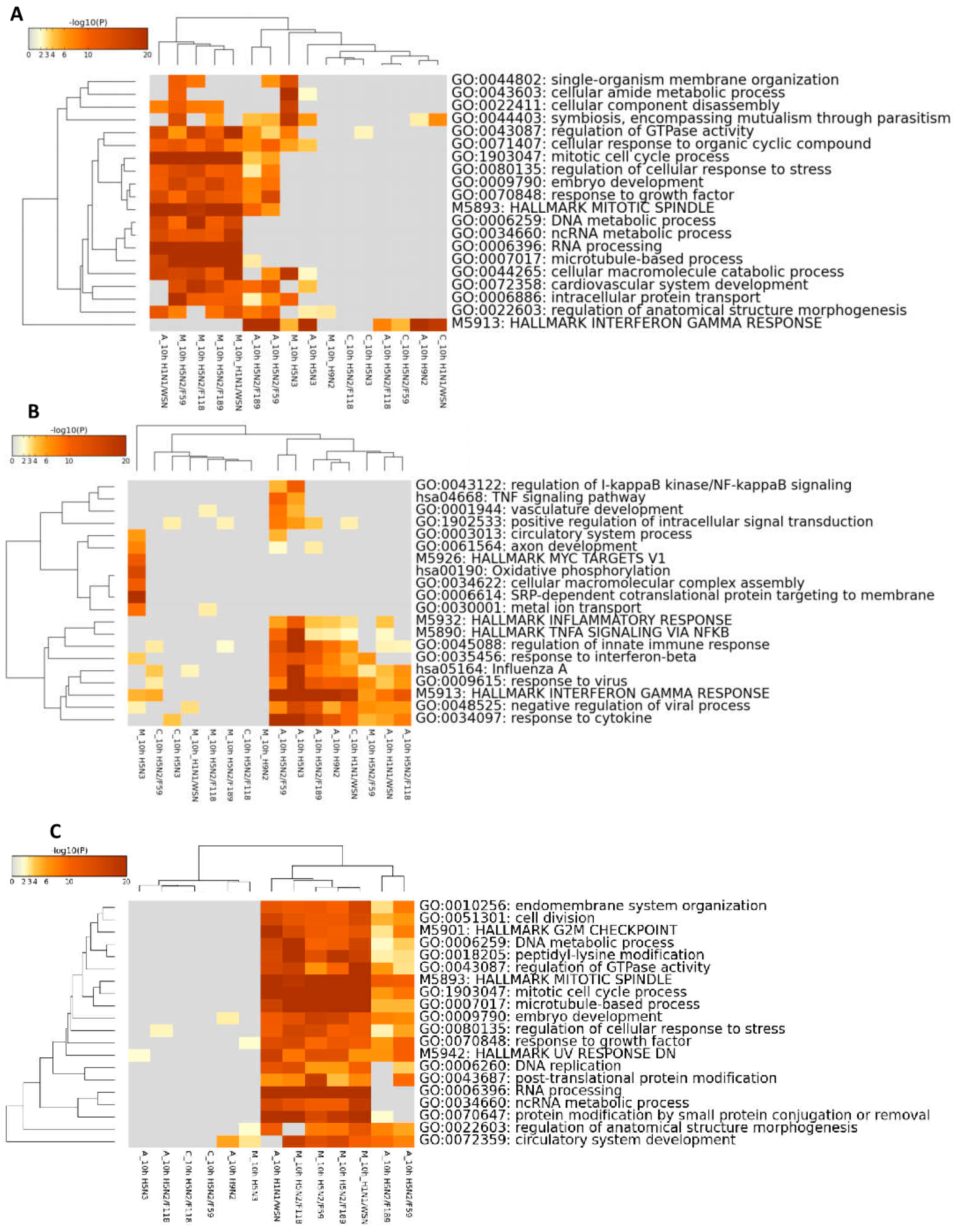 Ijms 18 02295 g002 Ijms 18 02295 g002