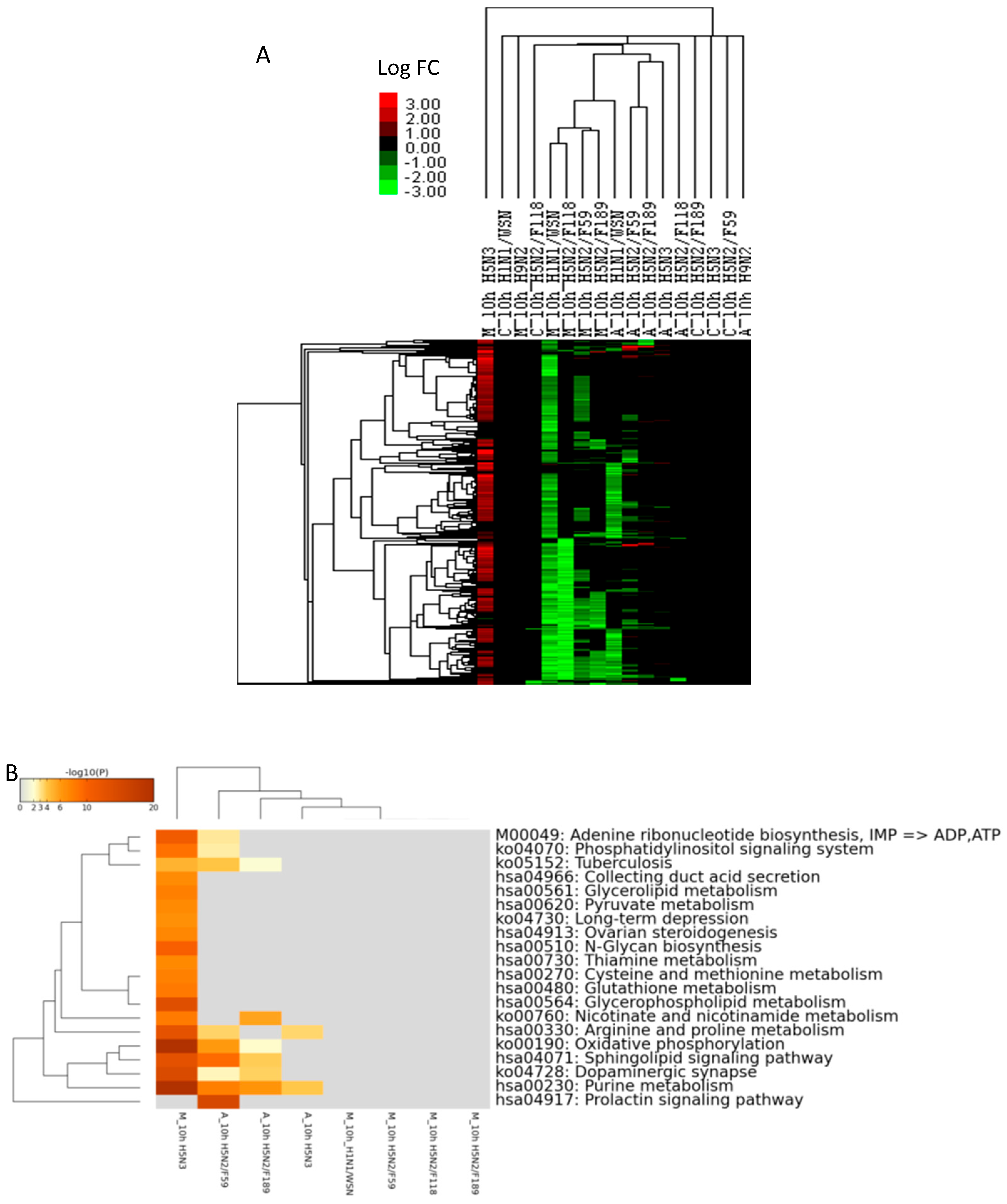Ijms 18 02295 g005a Ijms 18 02295 g005a