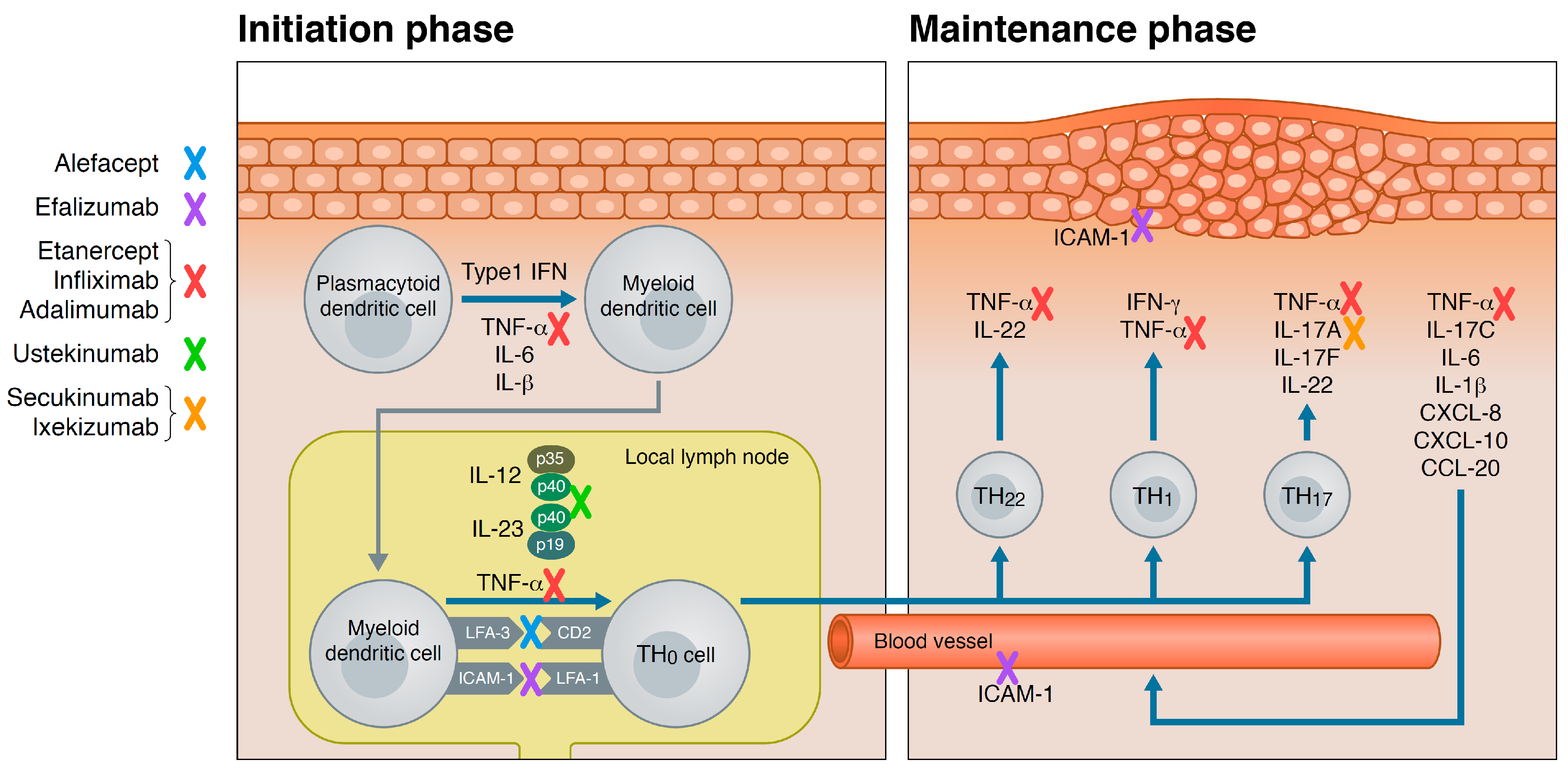 psoriasis antibody therapy