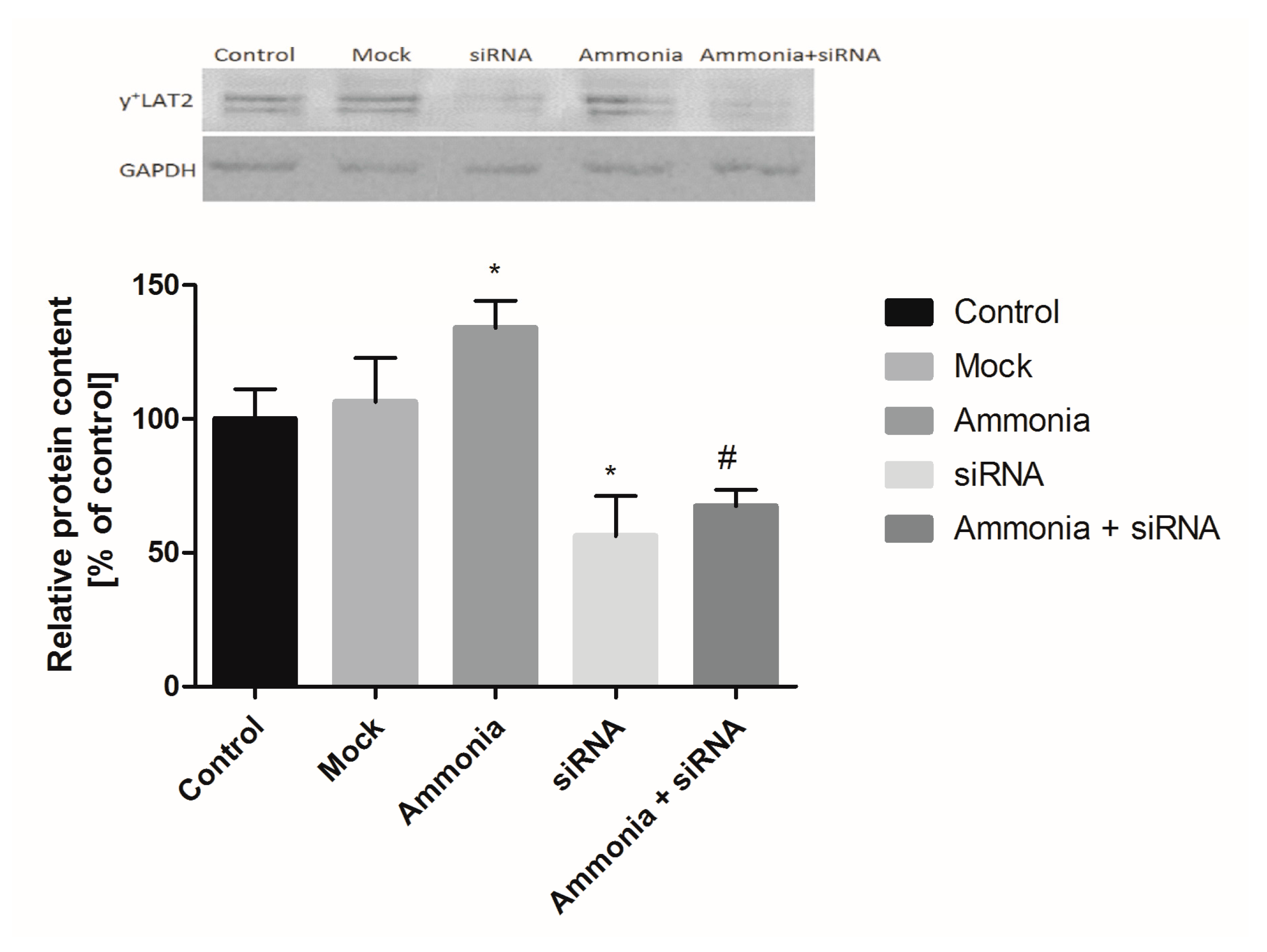 Ijms 18 02308 g001 550
