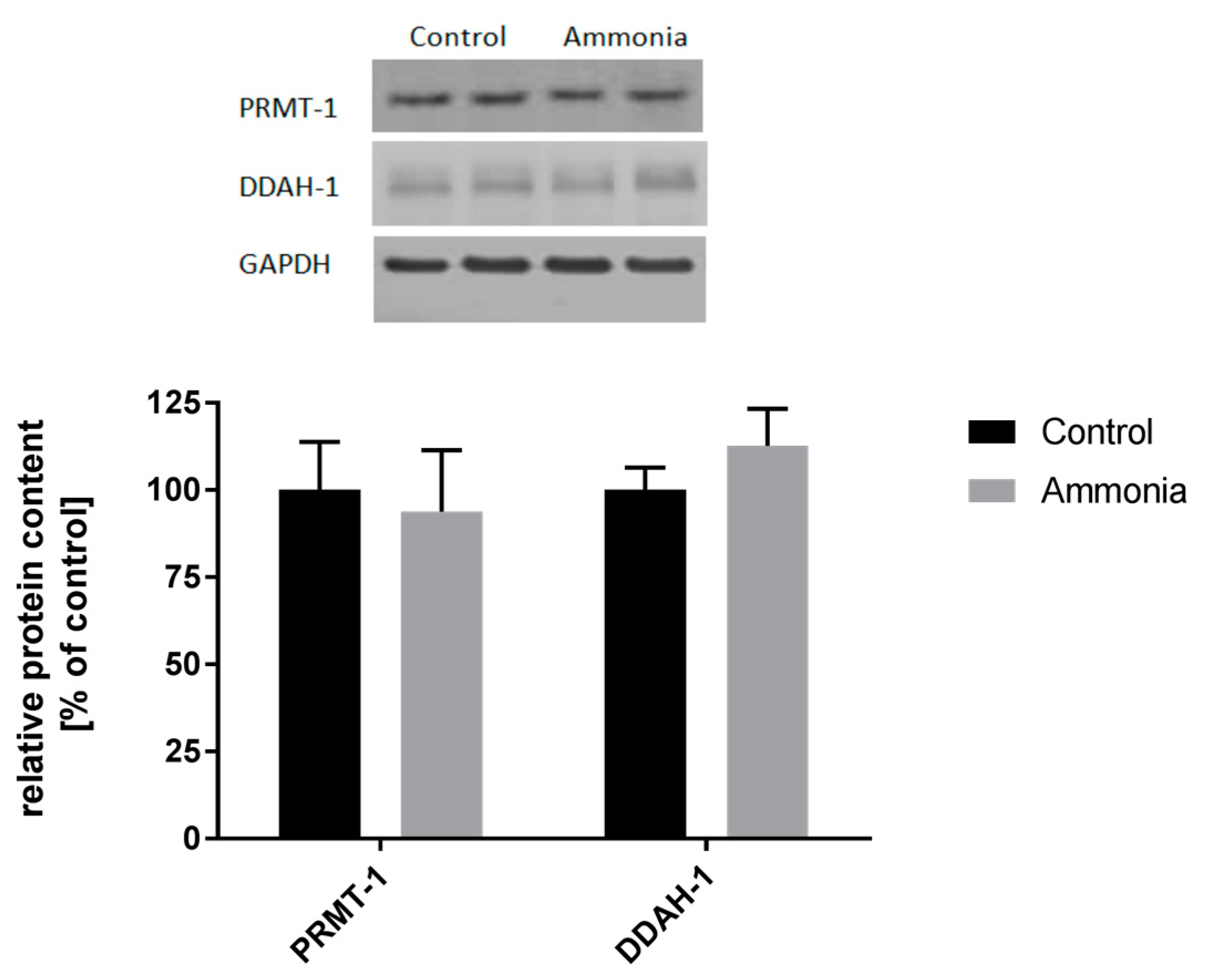 Ijms 18 02308 g003 550