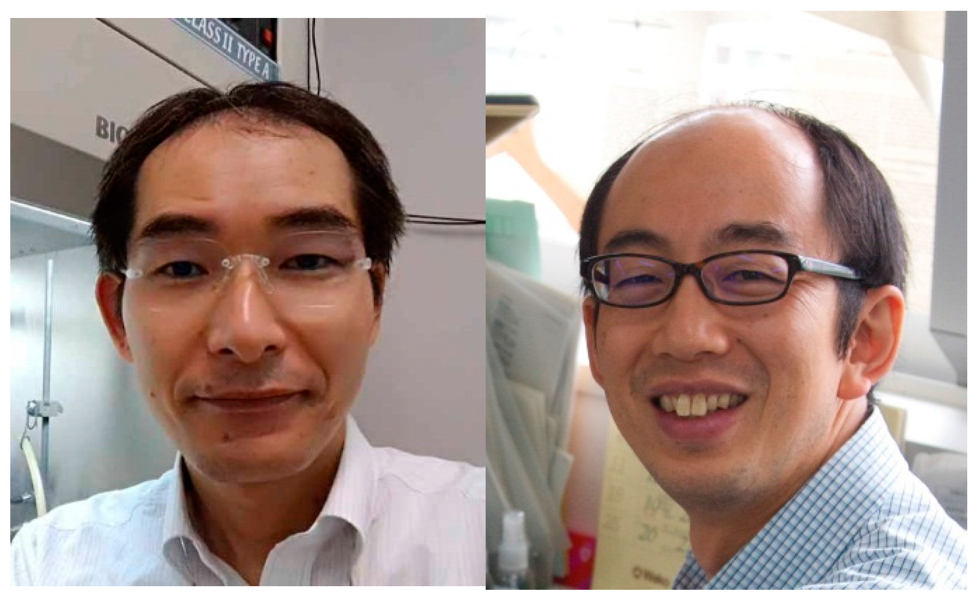 Ijms 18 02310 g005 550