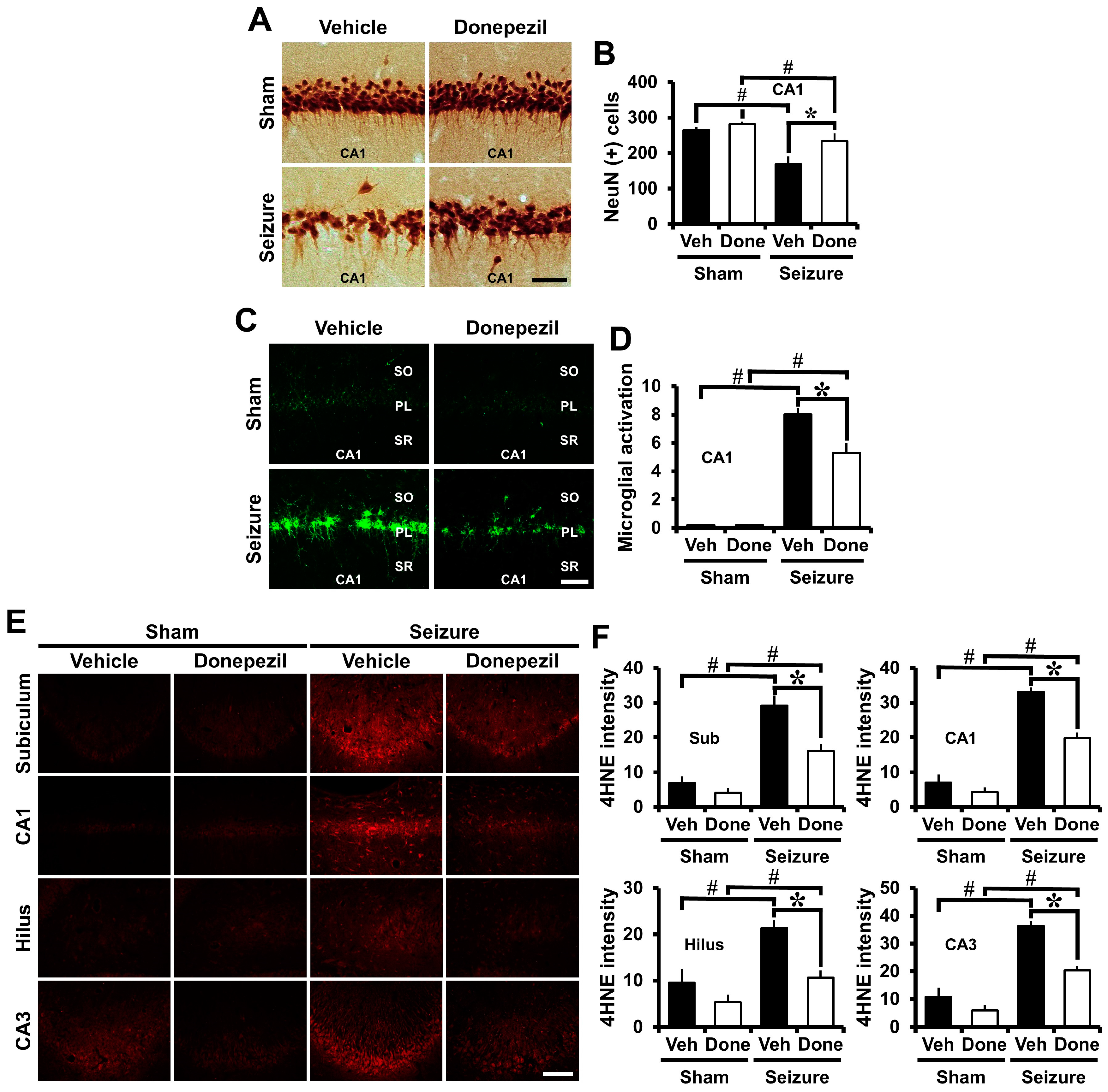 Ijms 18 02311 g003 550