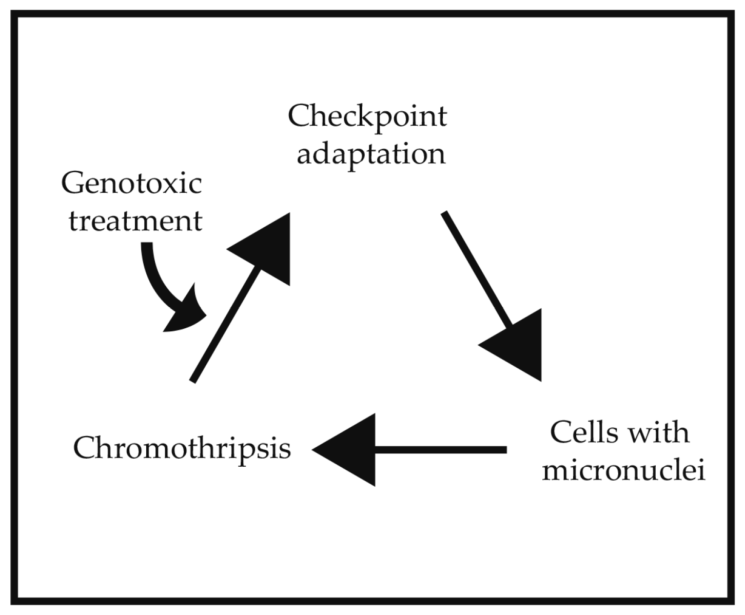 Ijms 18 02344 g003 Ijms 18 02344 g003