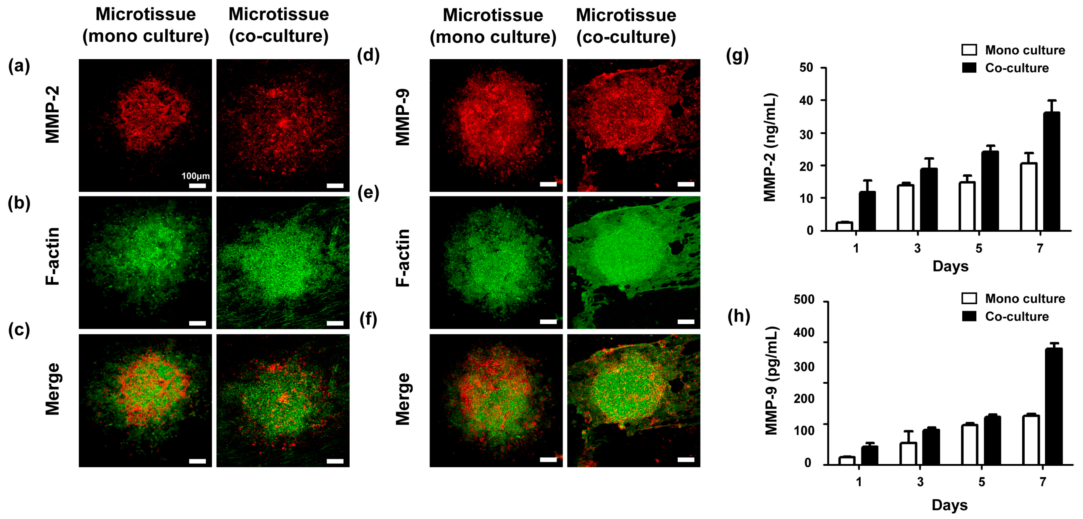 Ijms 18 02348 g005 550