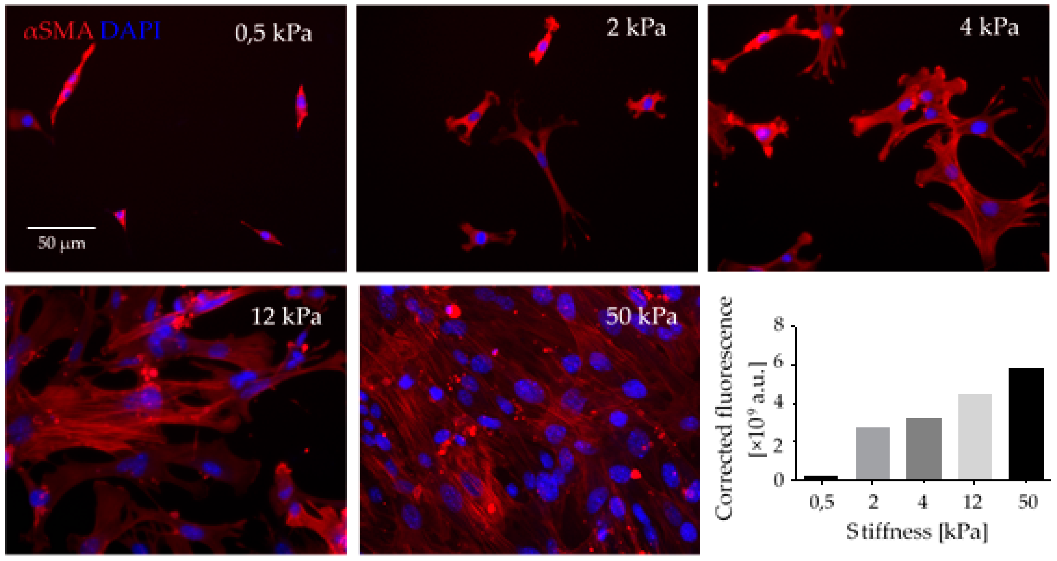 Ijms 18 02355 g002
