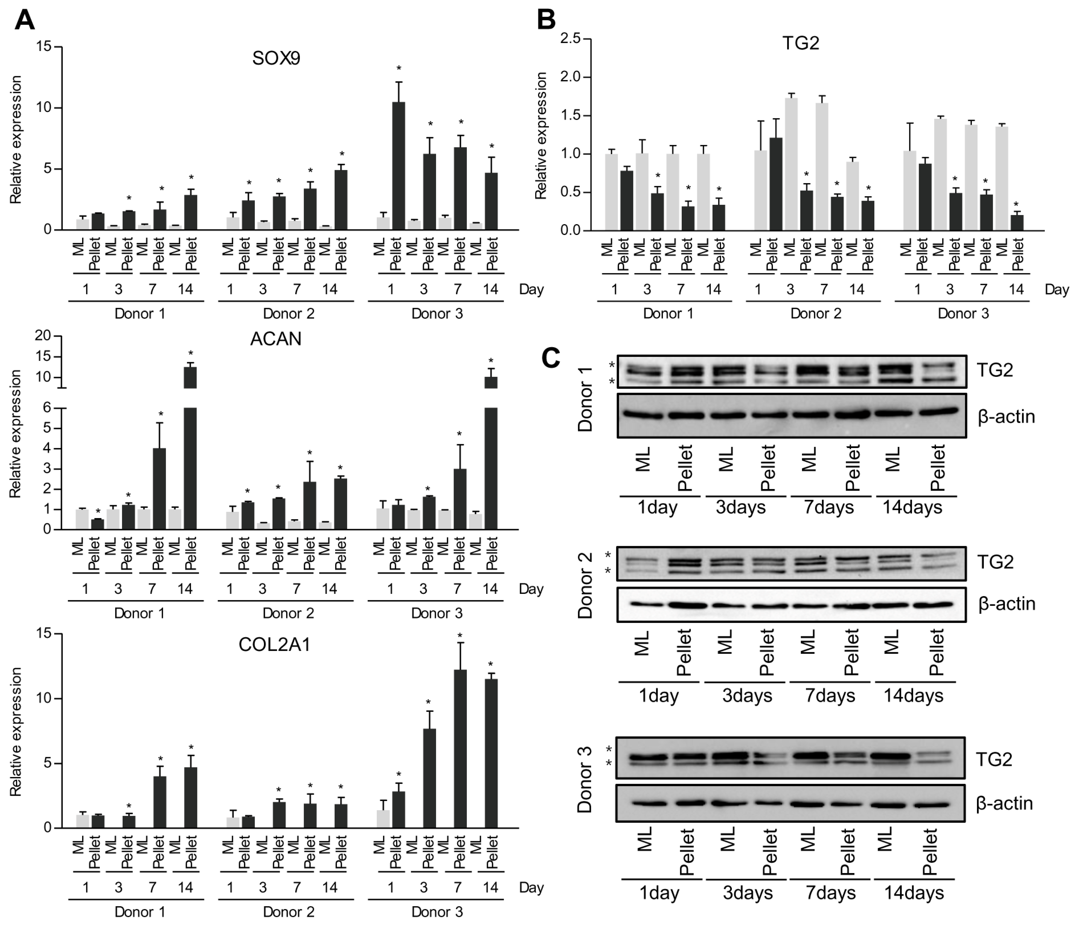 Ijms 18 02359 g002 550