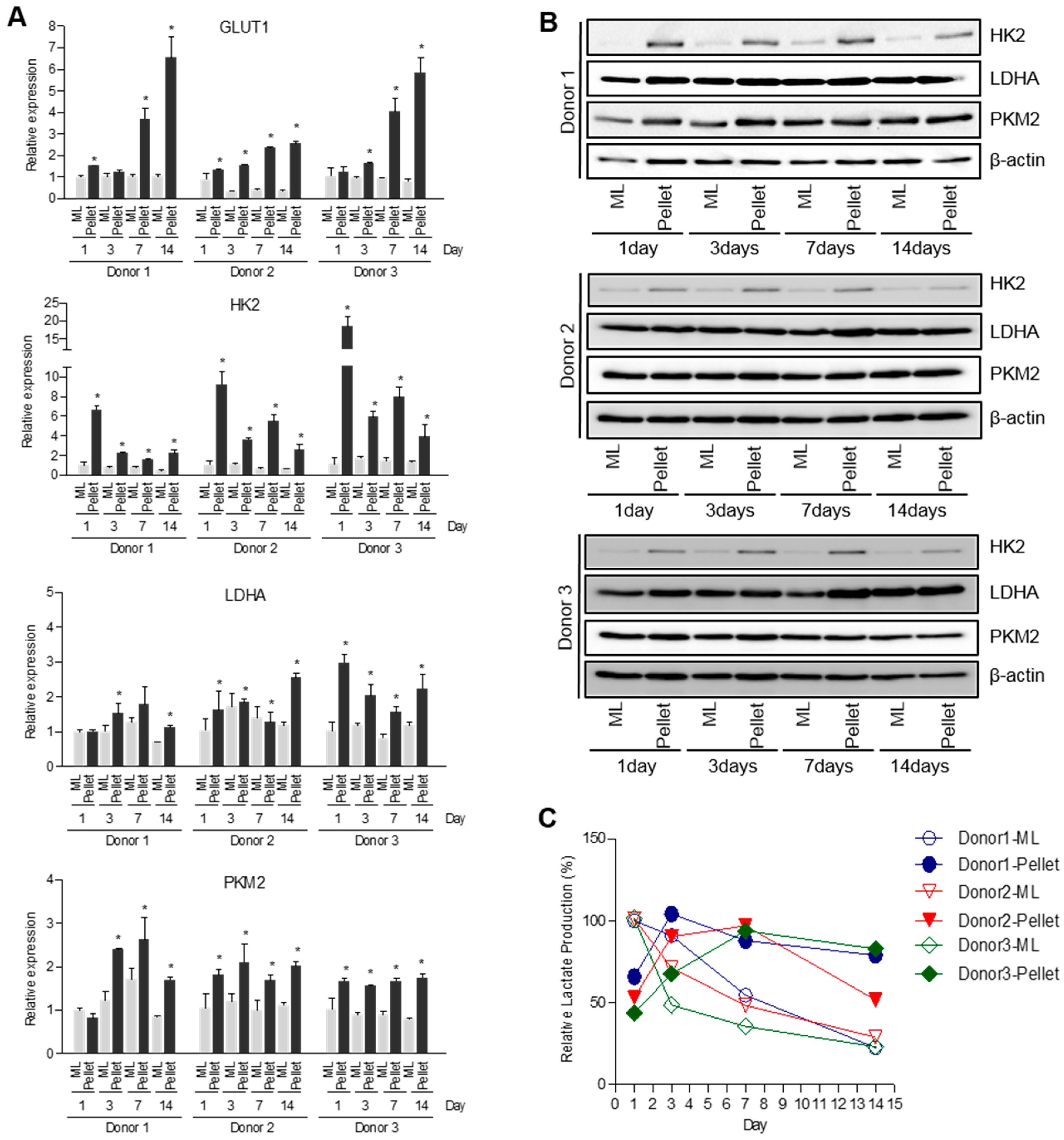 Ijms 18 02359 g003 550