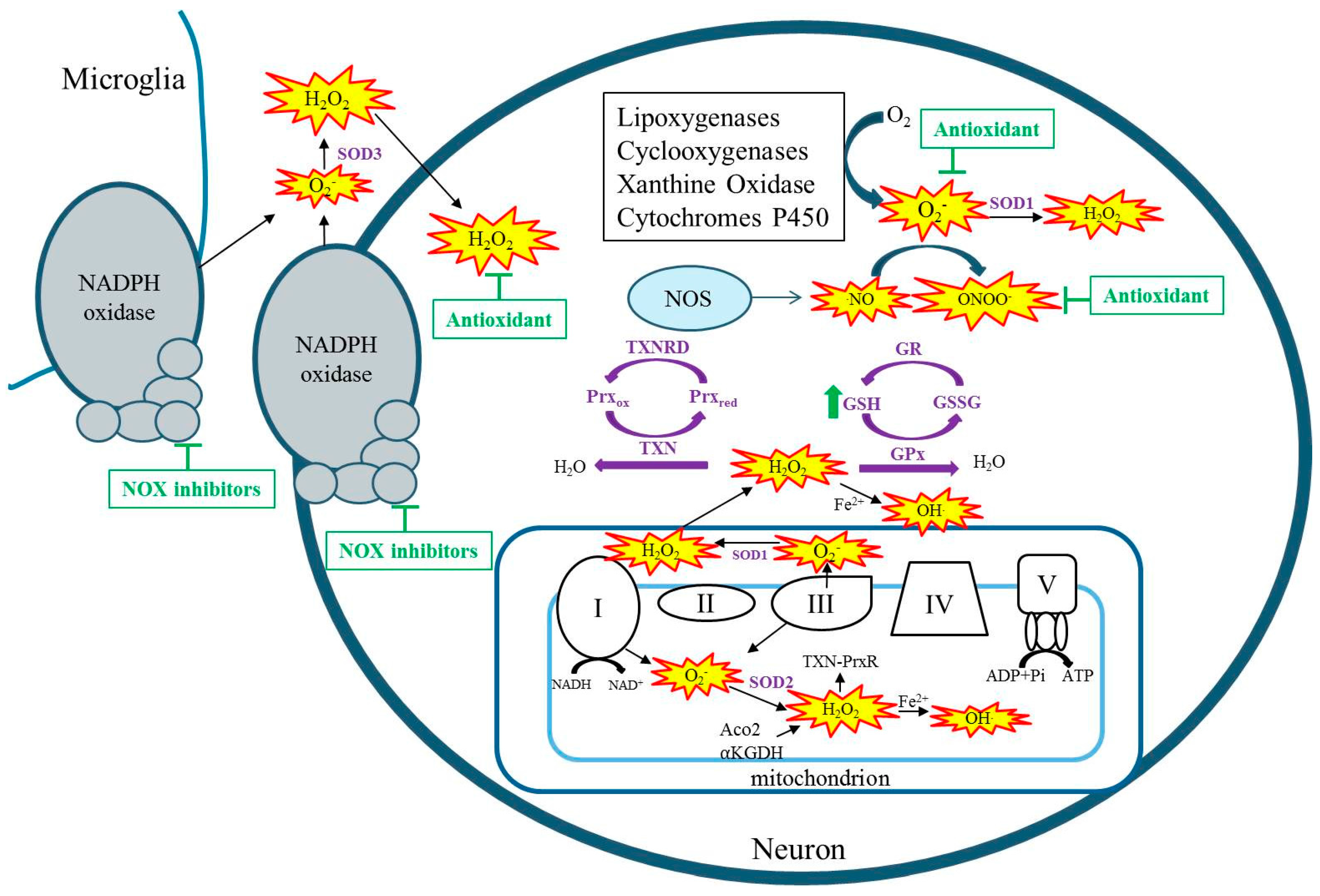 Ijms 18 02365 g001 550