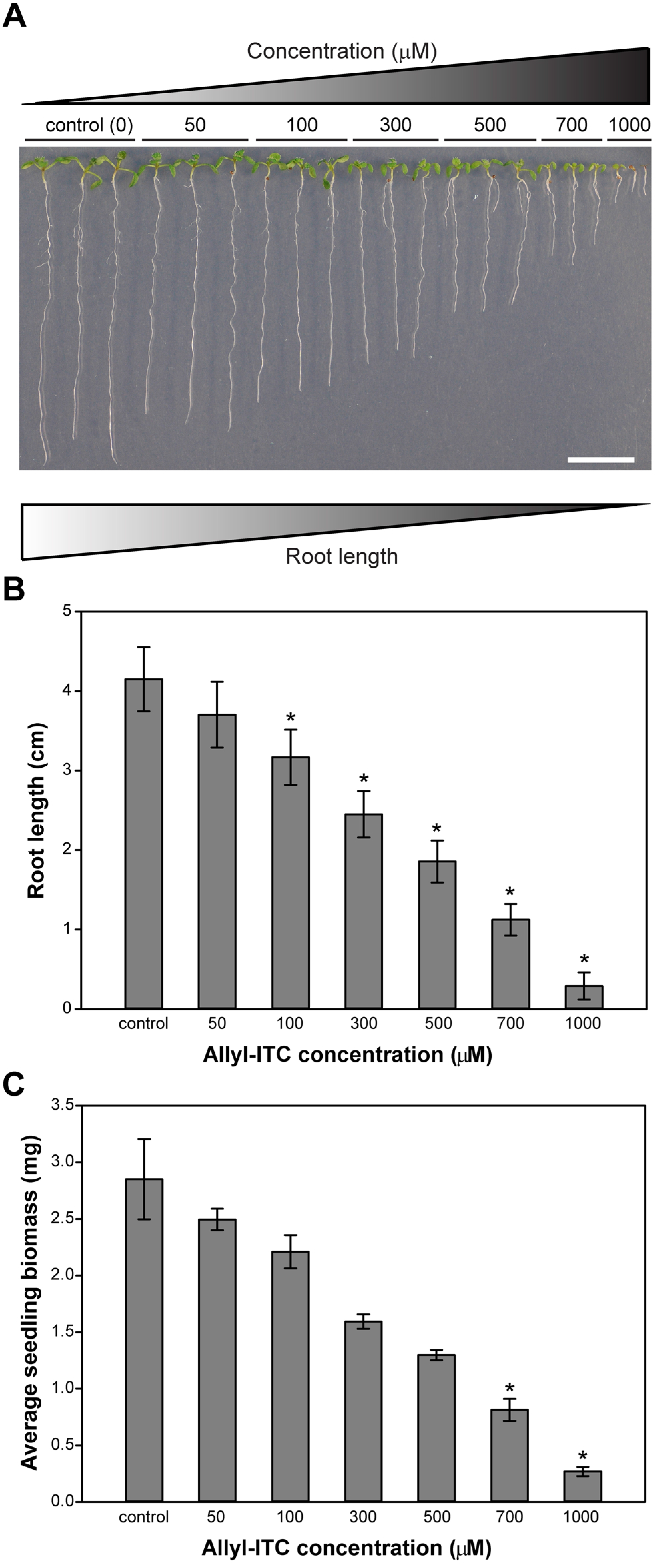 Ijms 18 02372 g002 Ijms 18 02372 g002