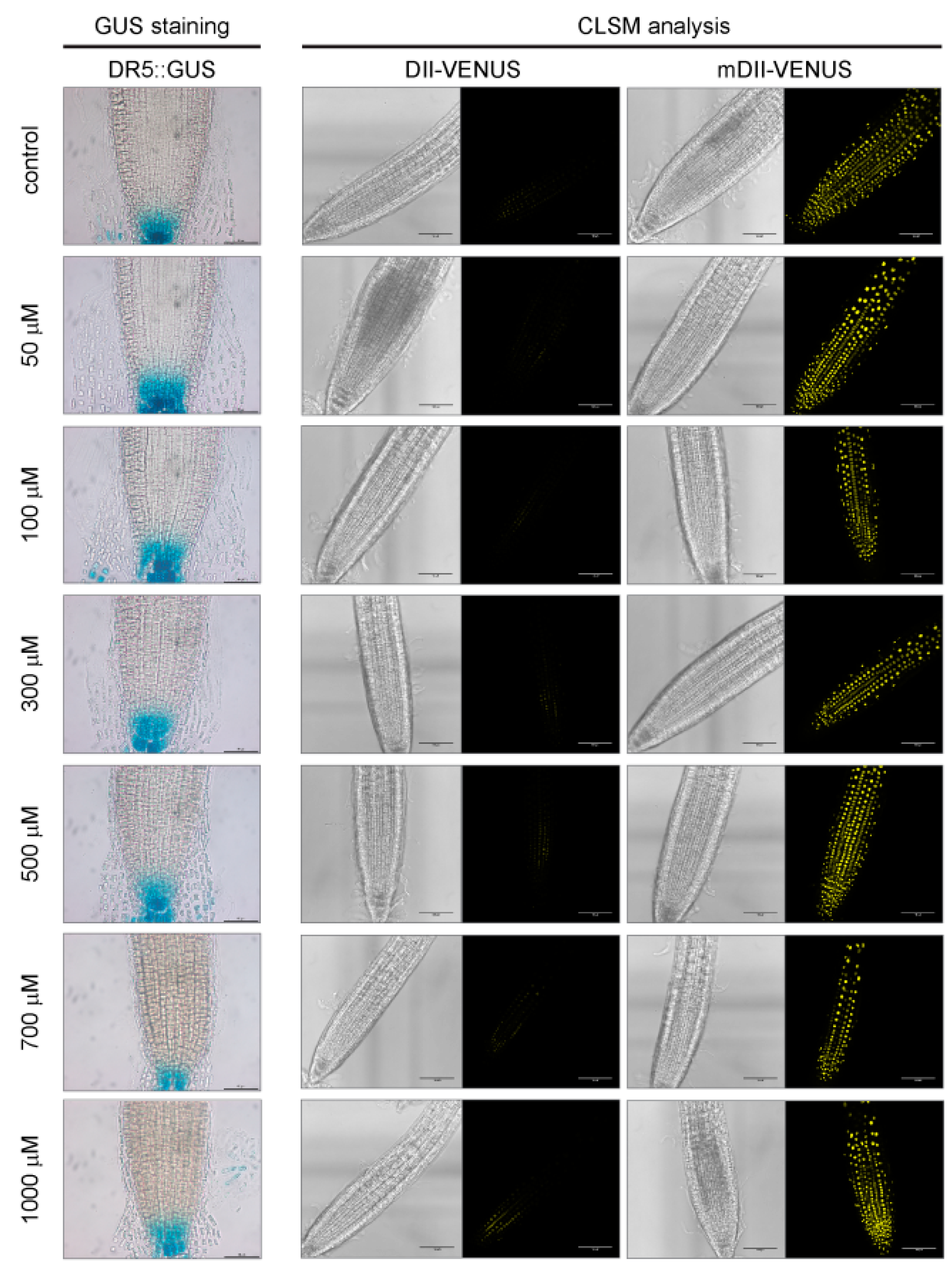 Ijms 18 02372 g004 Ijms 18 02372 g004