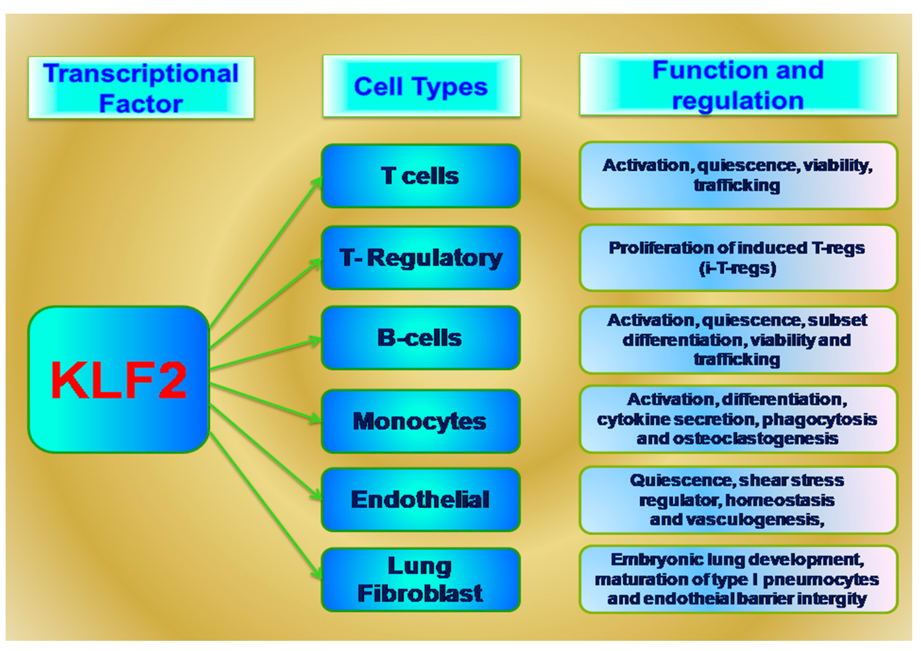 Ijms 18 02383 g001 550