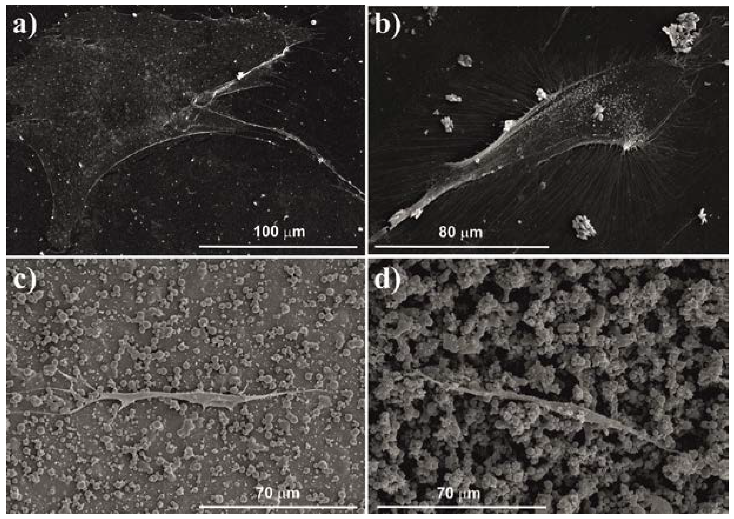 Ijms 18 02391 g002 Ijms 18 02391 g002