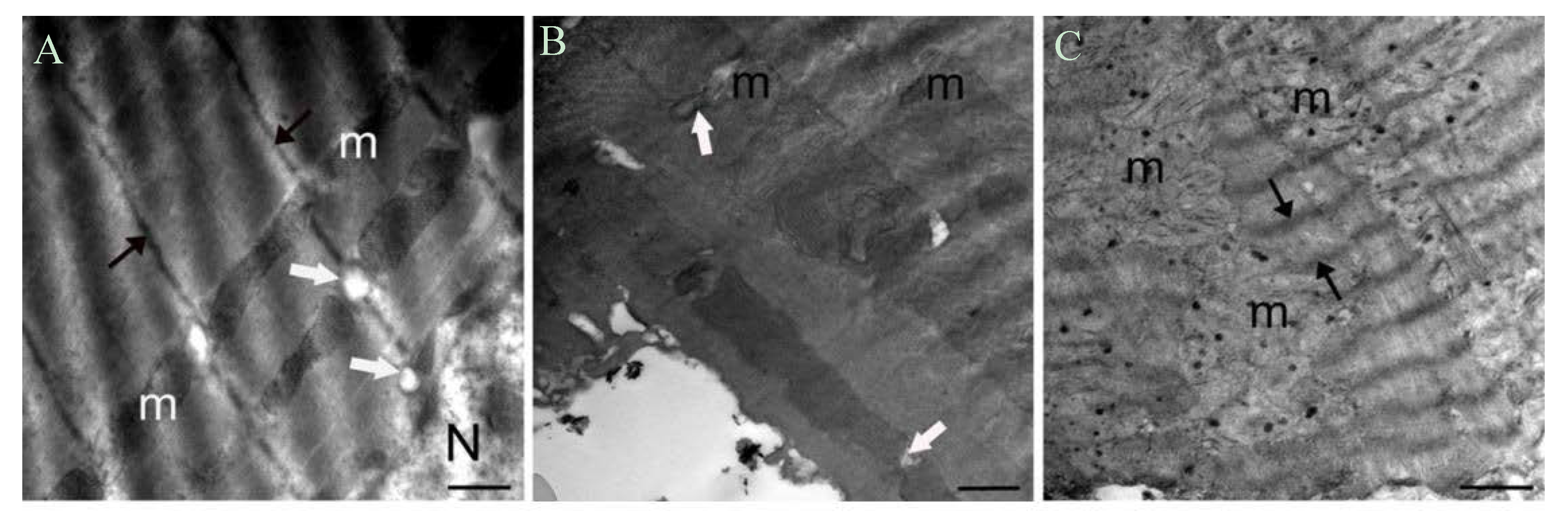 Ijms 18 02395 g003