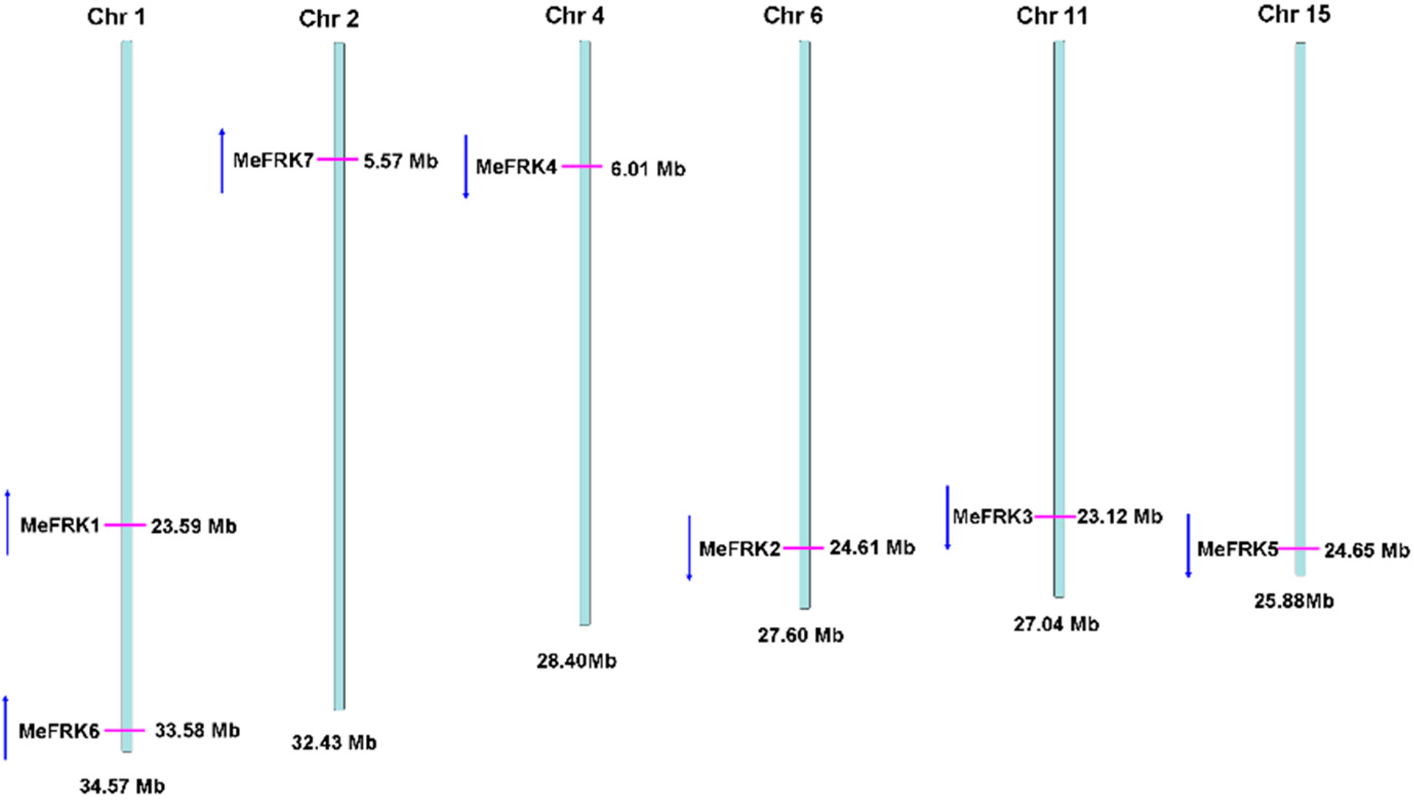 Ijms 18 02398 g003 550