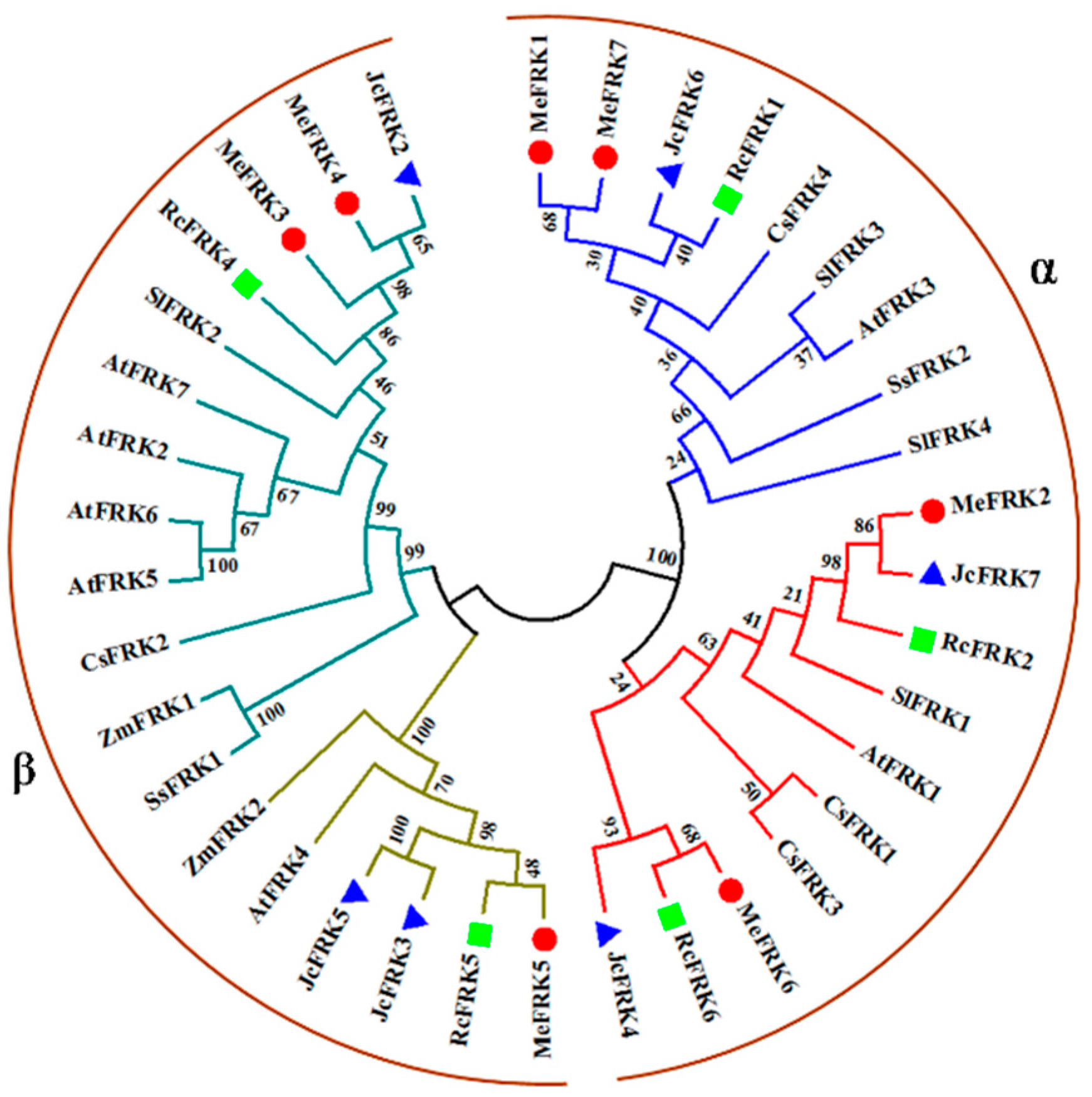 Ijms 18 02398 g004 550