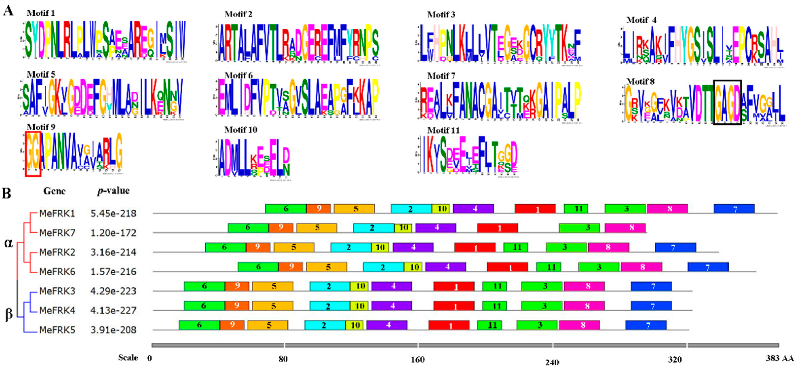 Ijms 18 02398 g005 550