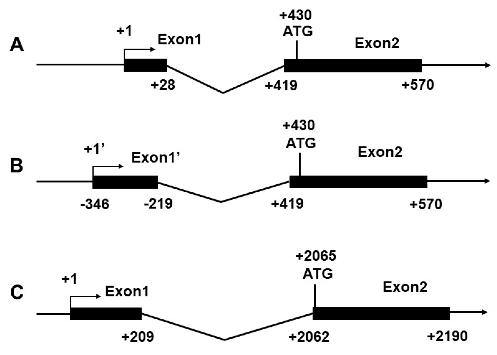 Ijms 18 02405 g001 550