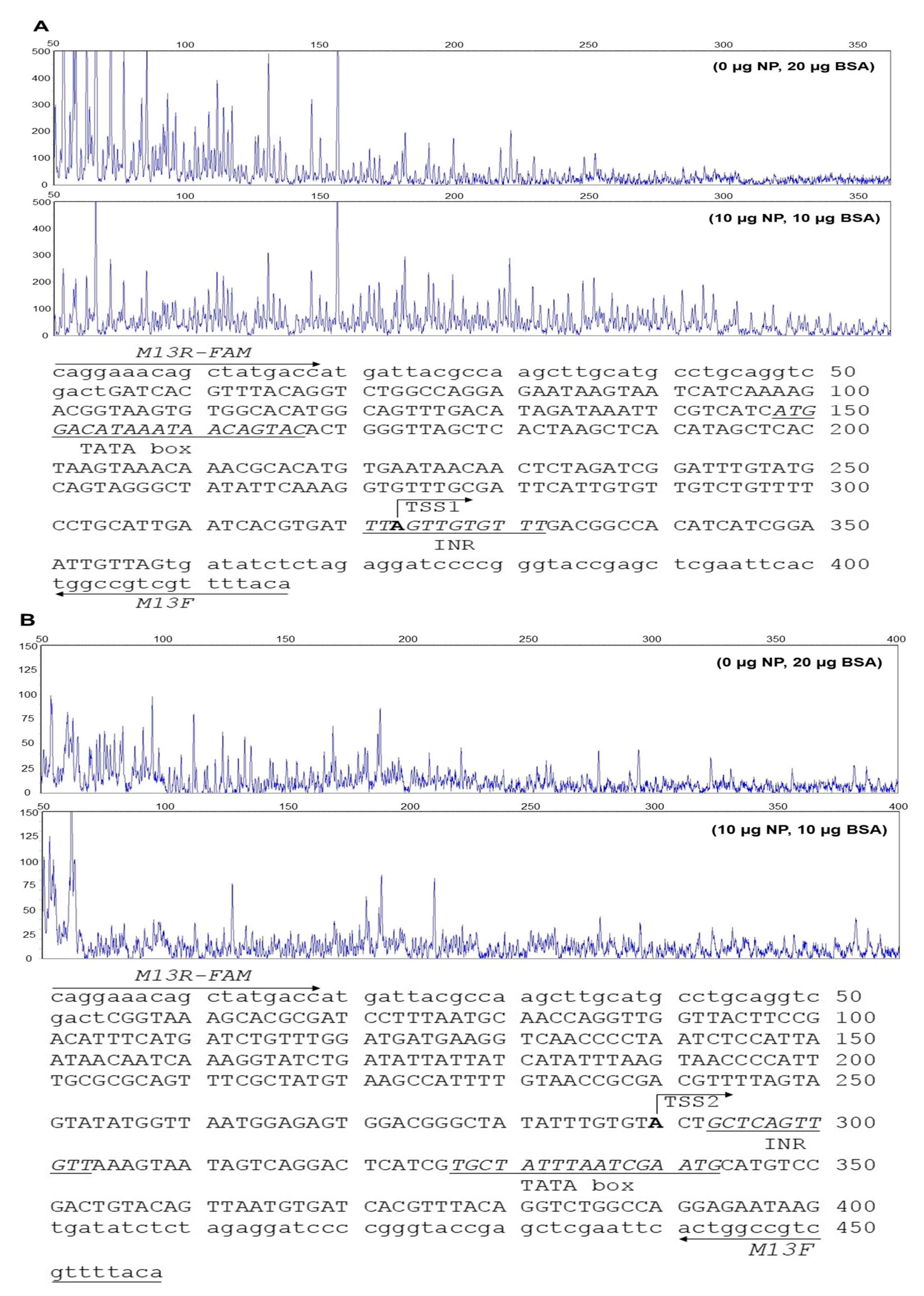 Ijms 18 02405 g002 550