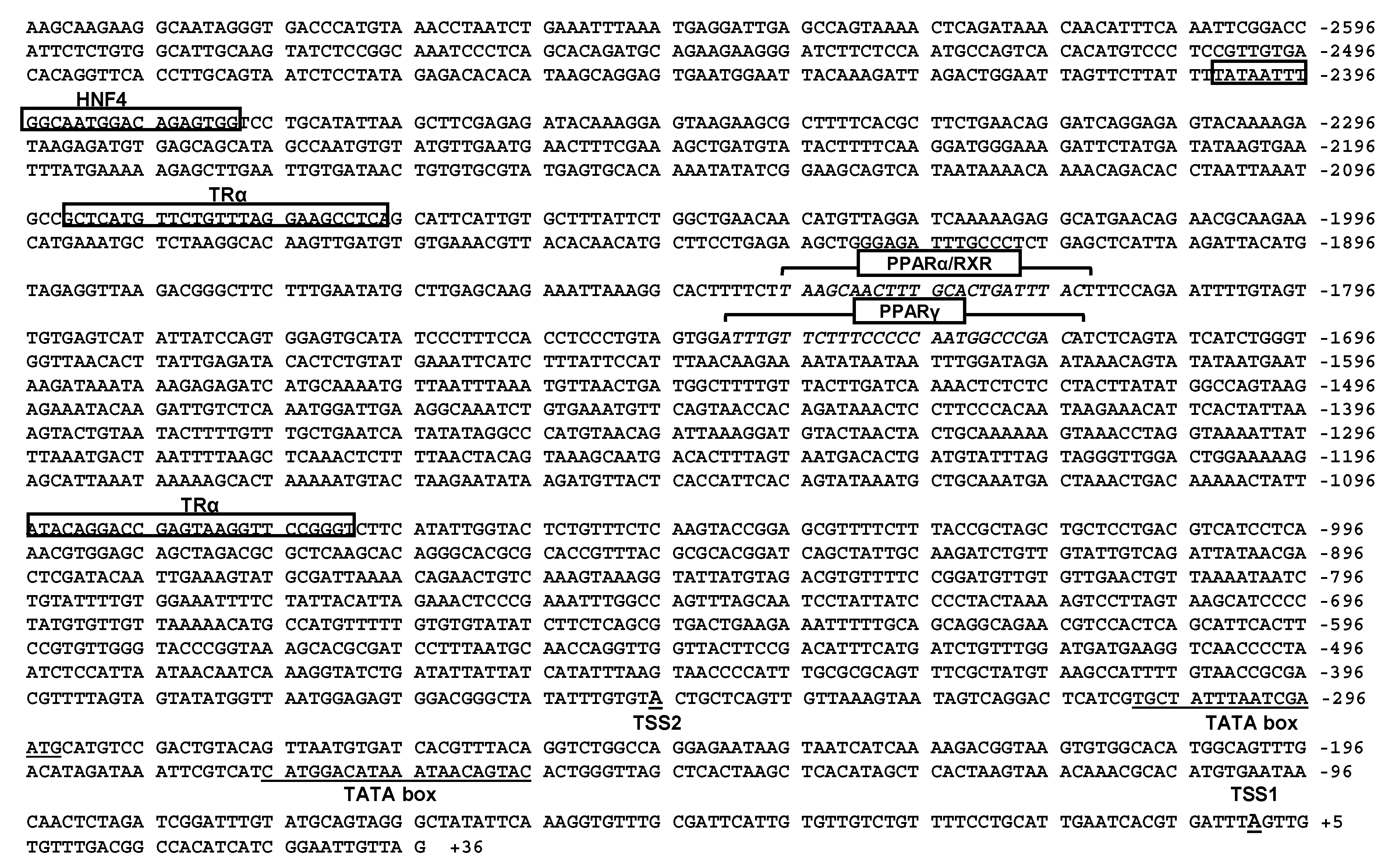 Ijms 18 02405 g003 550