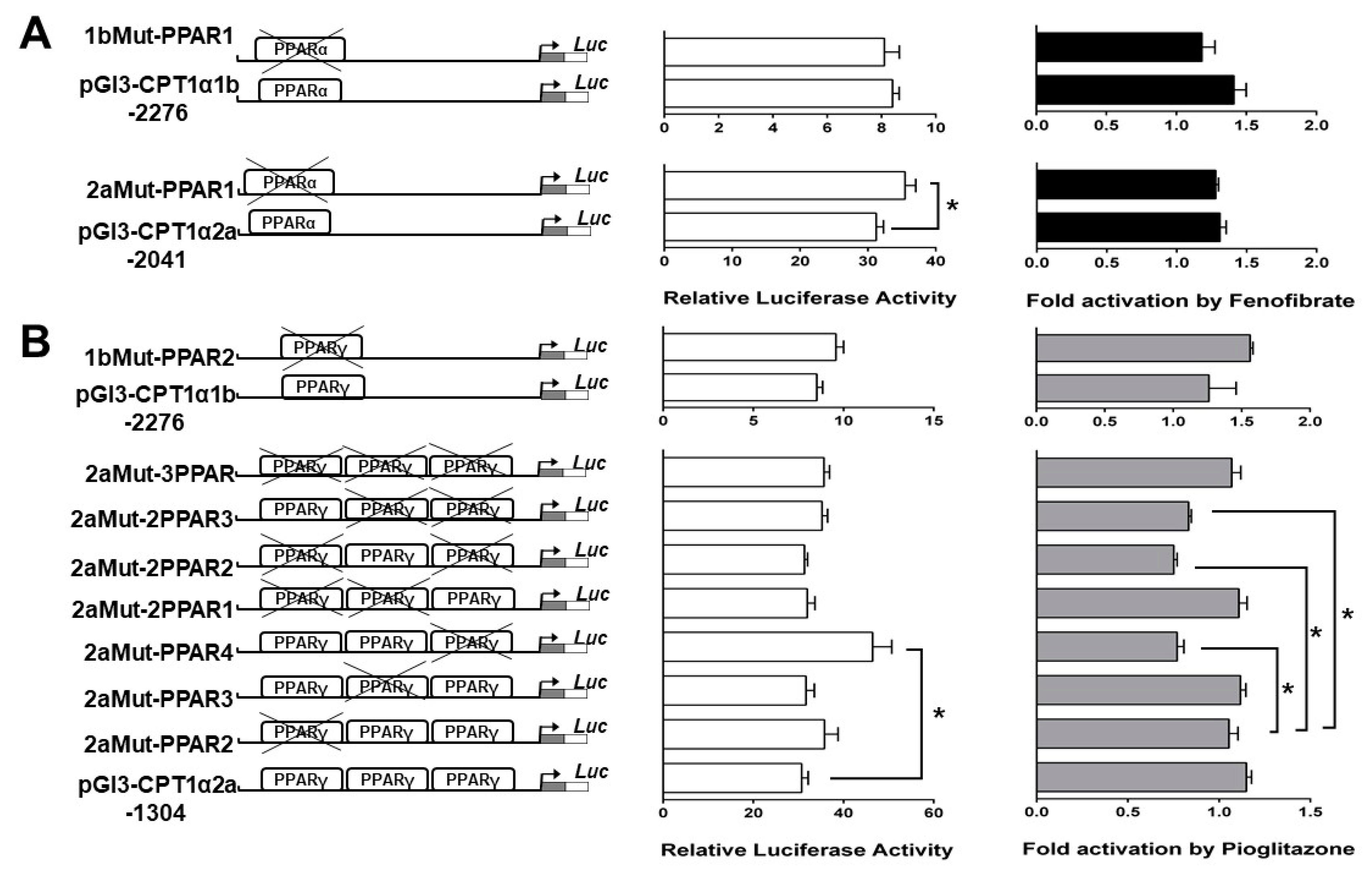 Ijms 18 02405 g006 550