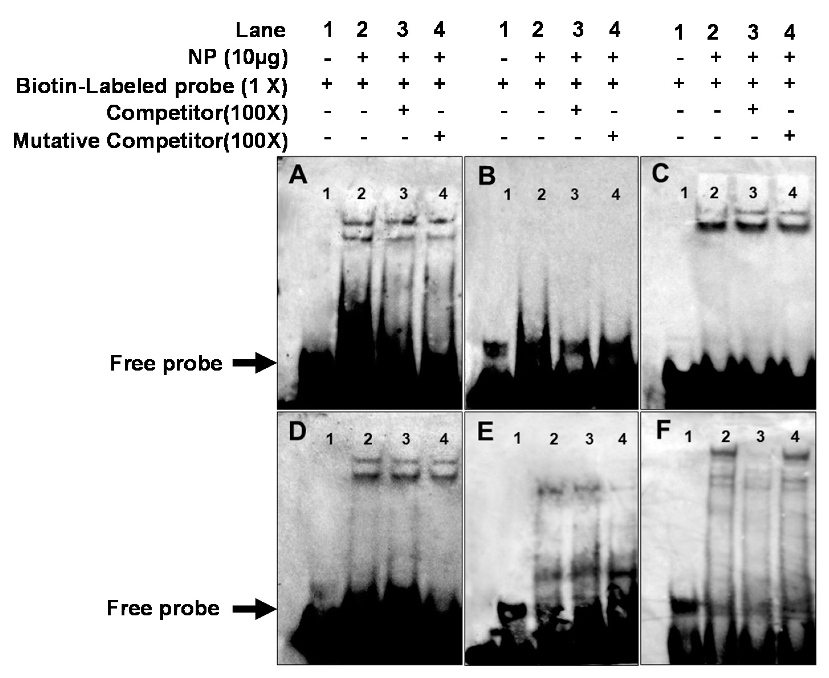 Ijms 18 02405 g007 550
