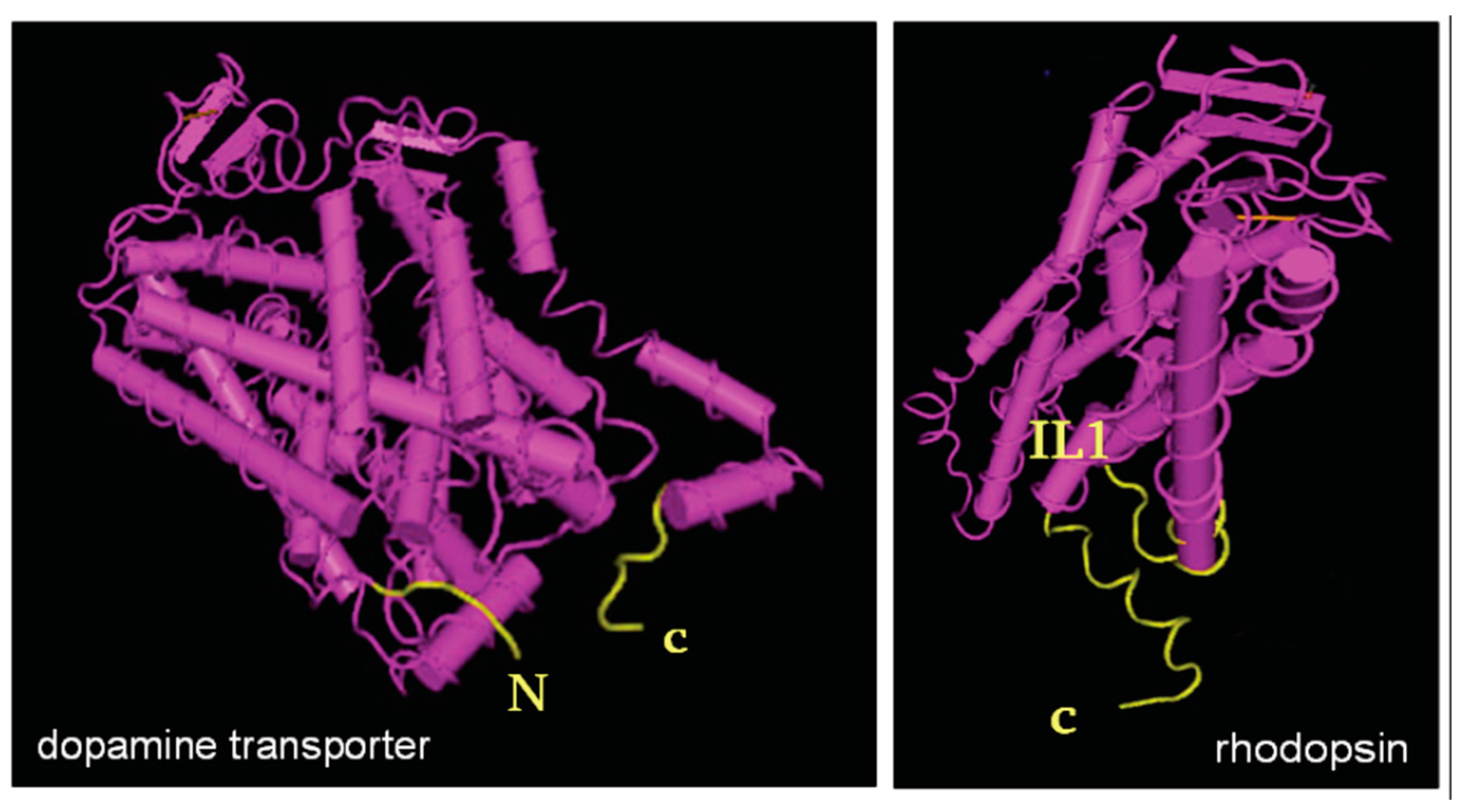 Ijms 18 02416 g002 Ijms 18 02416 g002