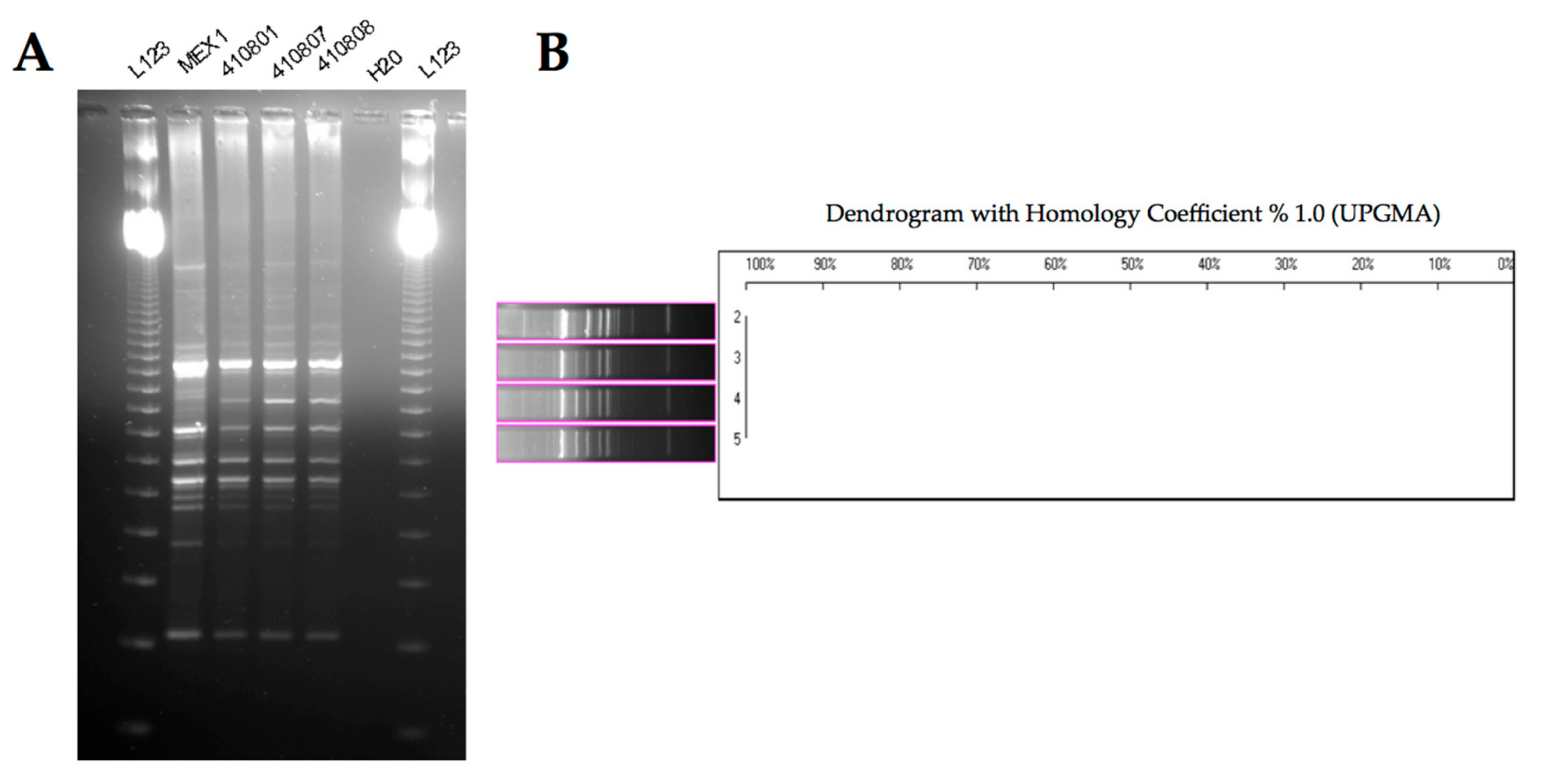Ijms 18 02417 g003 Ijms 18 02417 g003