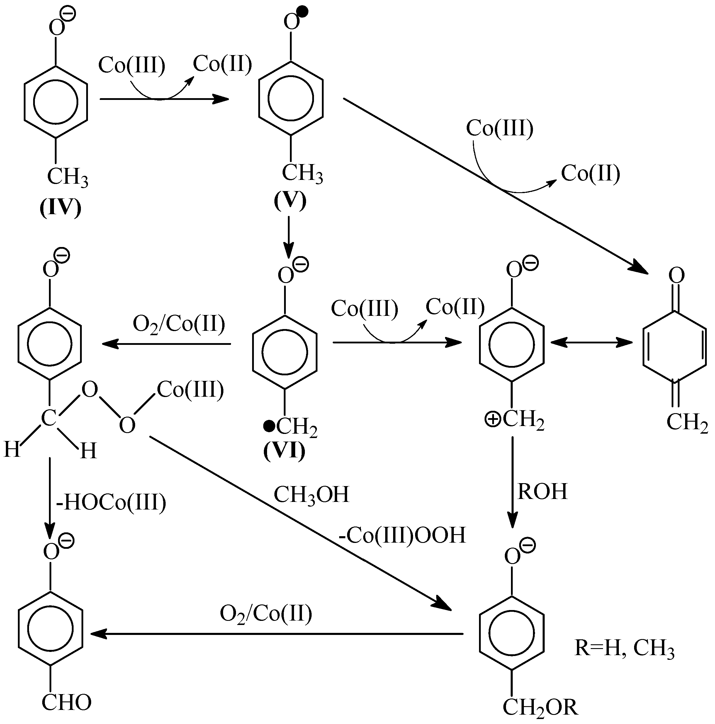 Ijms 18 02421 sch003 Ijms 18 02421 sch003
