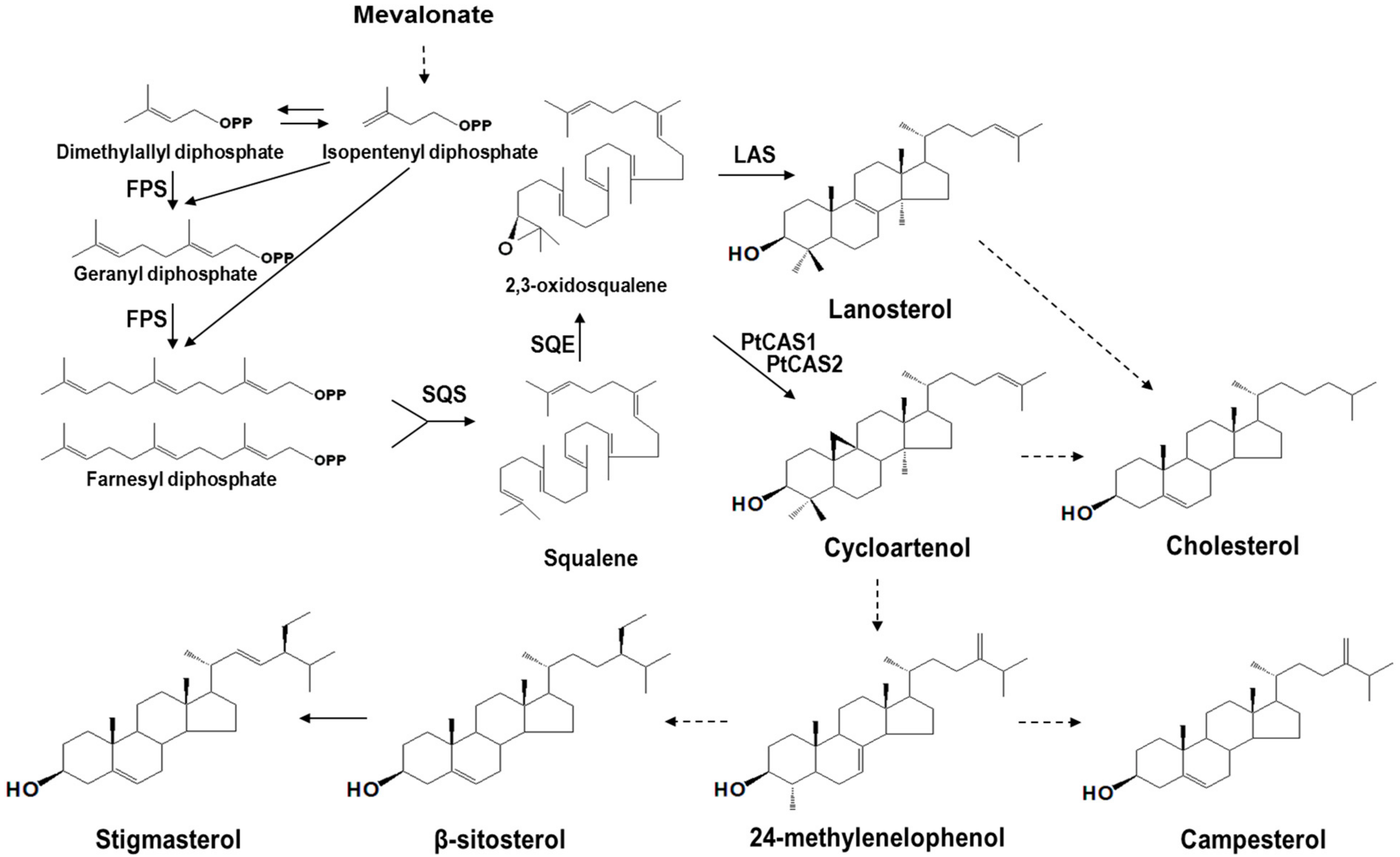 Ijms 18 02426 g001 550